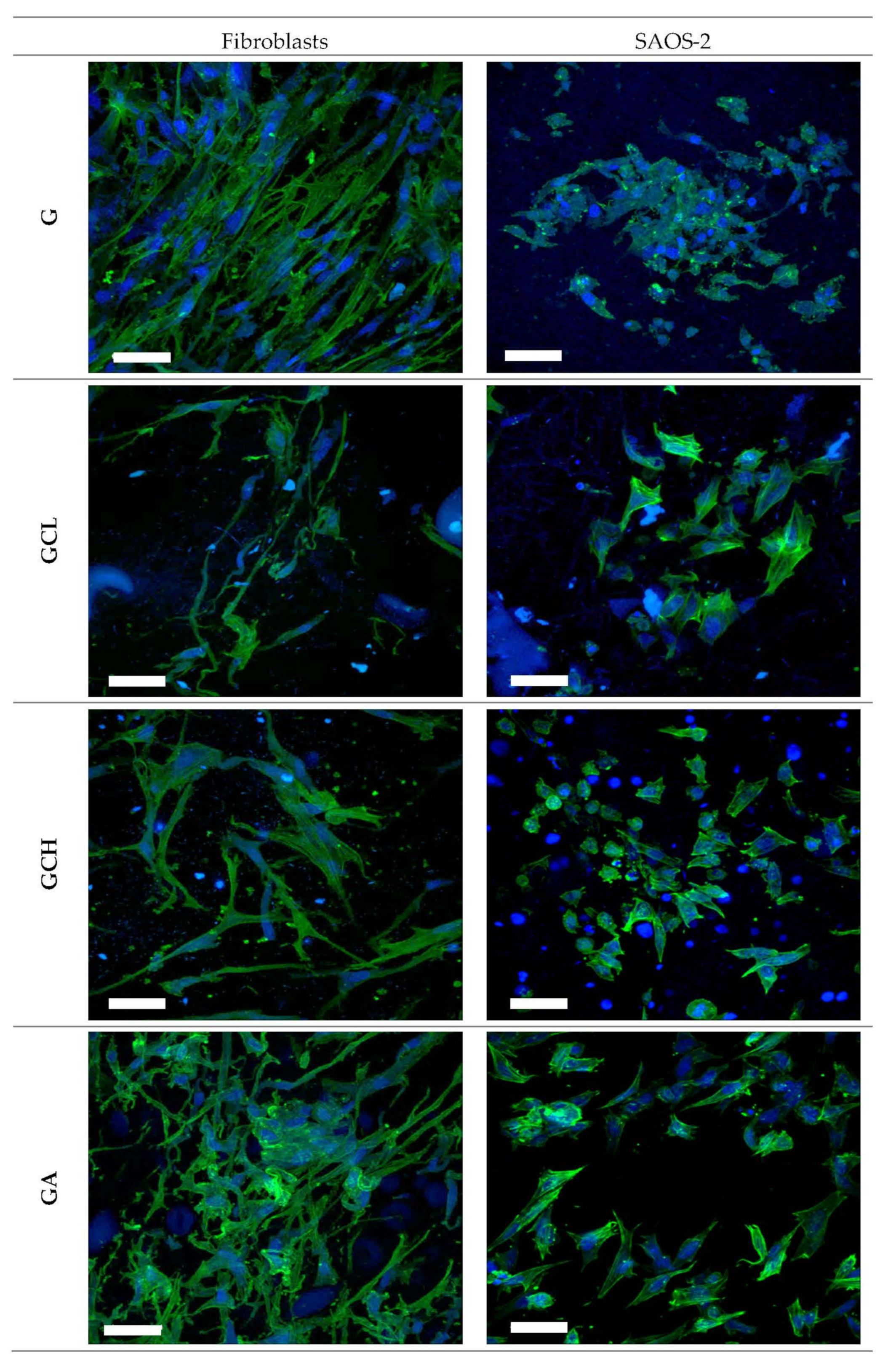 Polymers 13 00307 g008