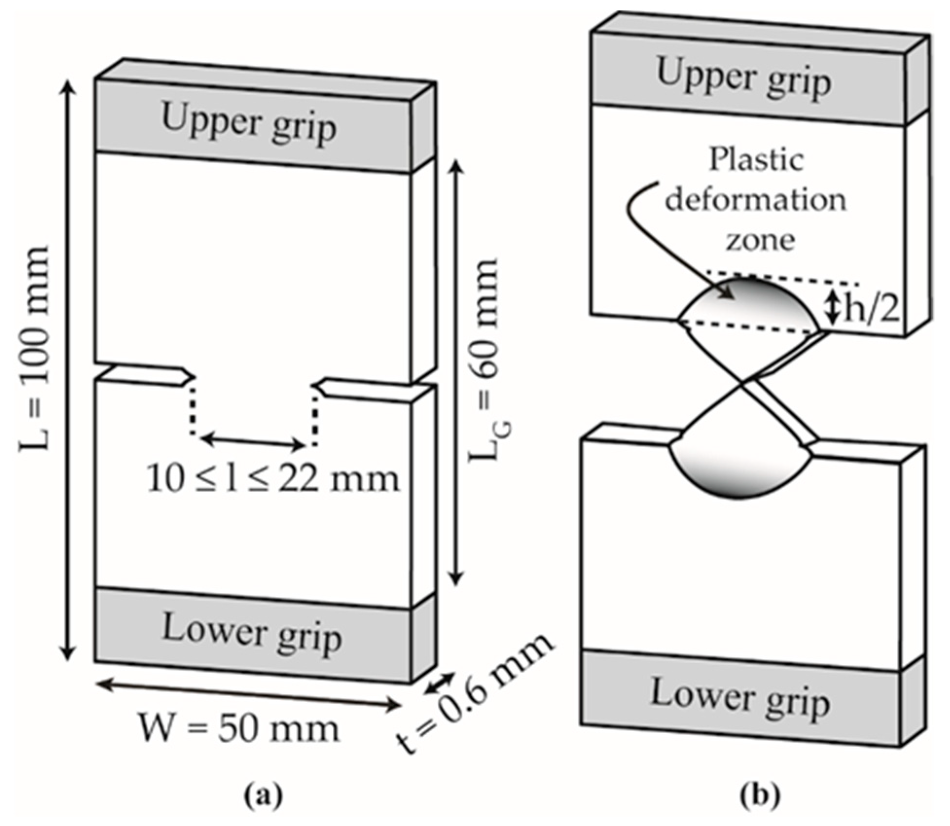 Polymers 13 00310 g003