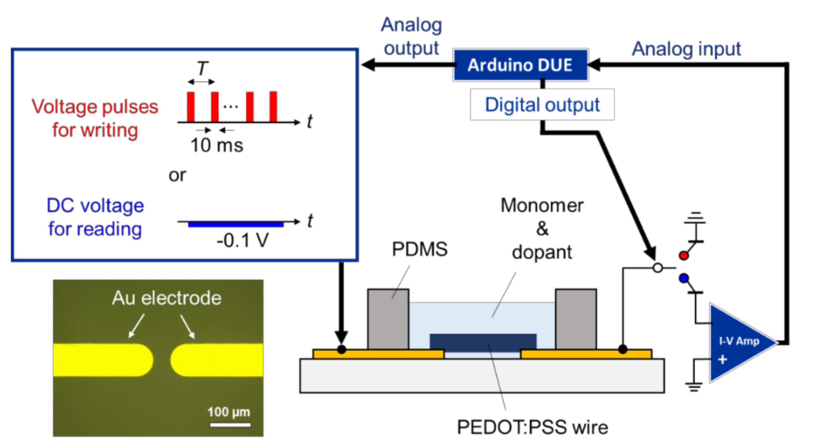 Polymers 13 00312 g002