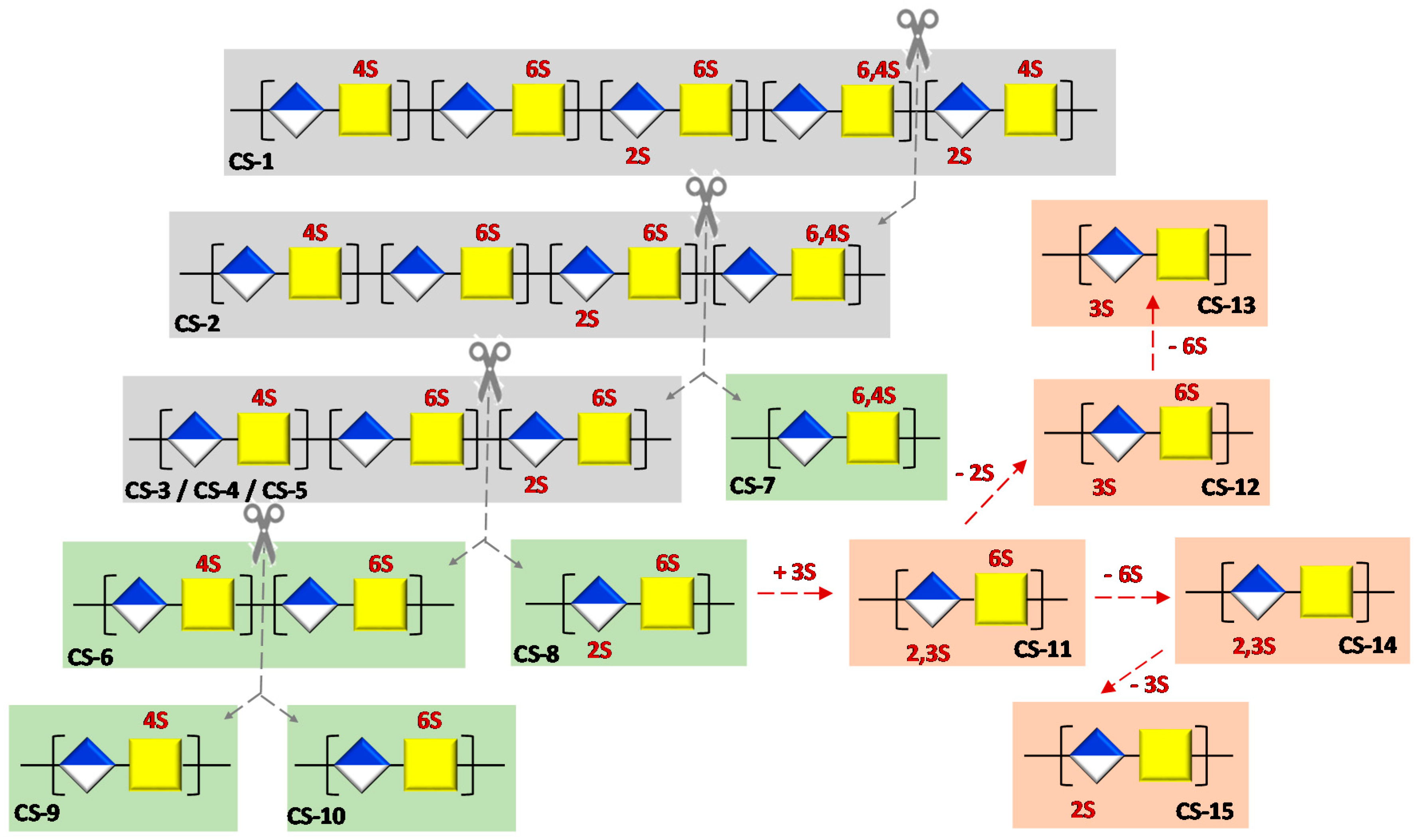 Polymers 13 00313 g005