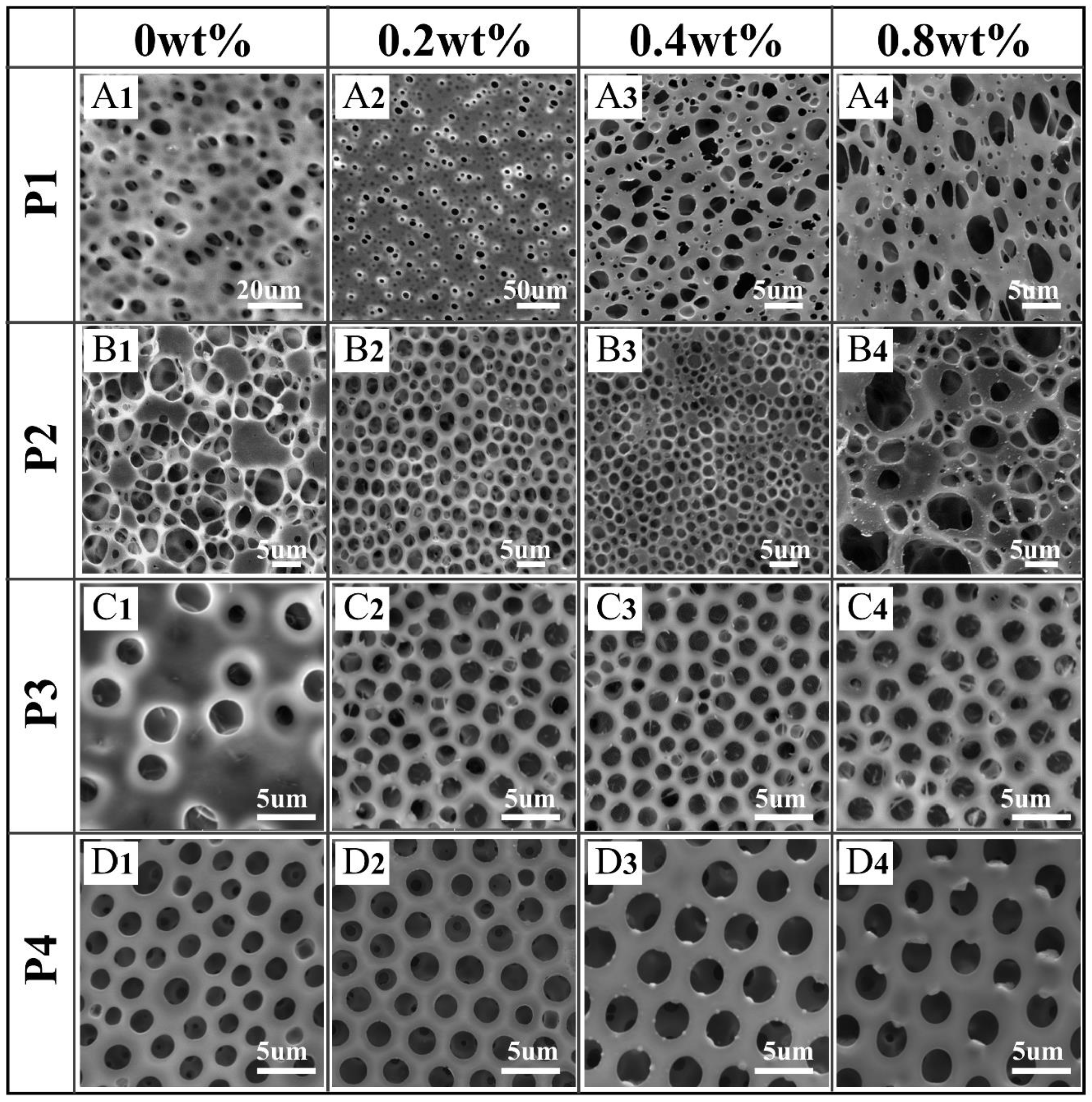 Polymers 13 00316 g003