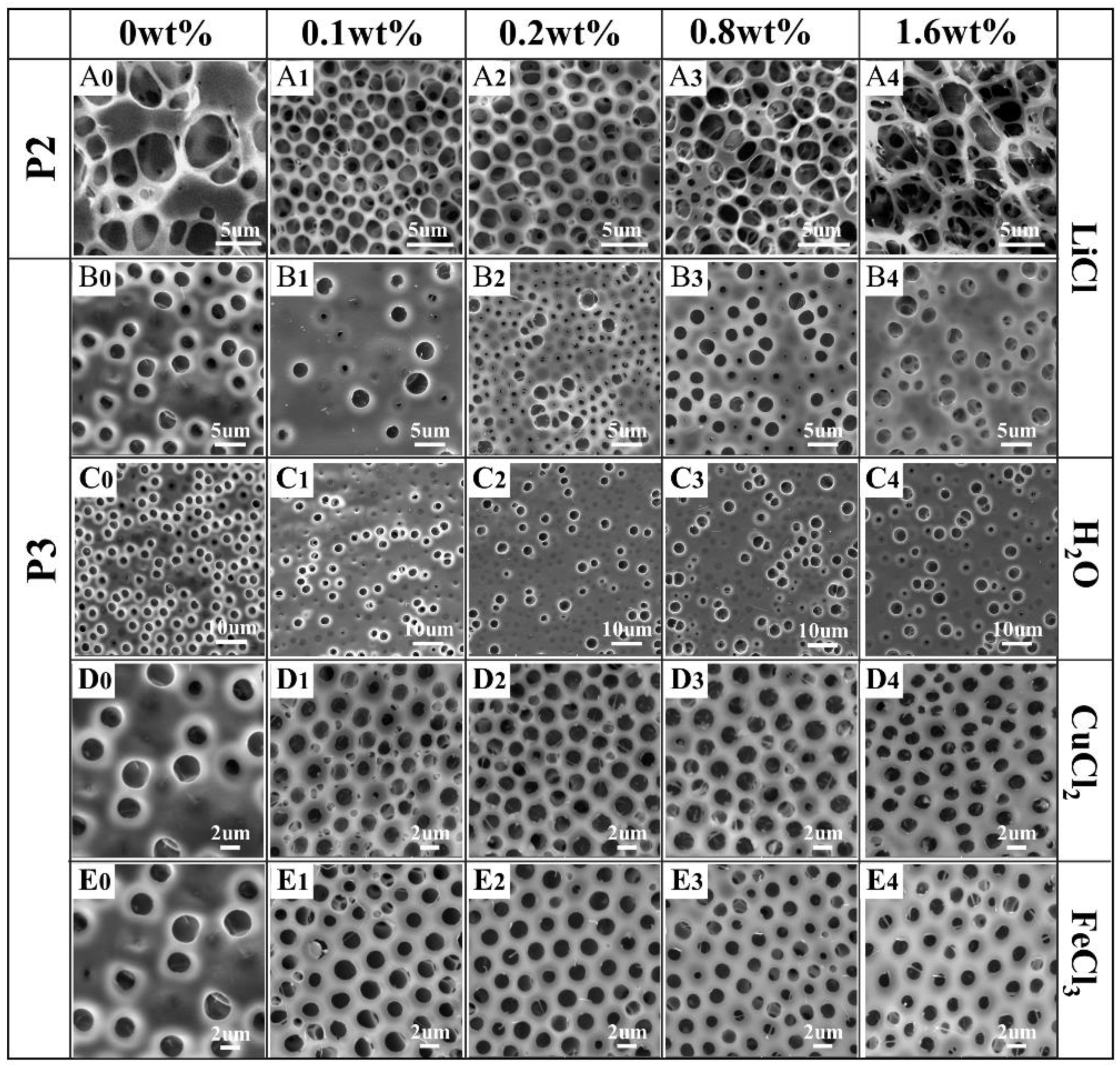 Polymers 13 00316 g005