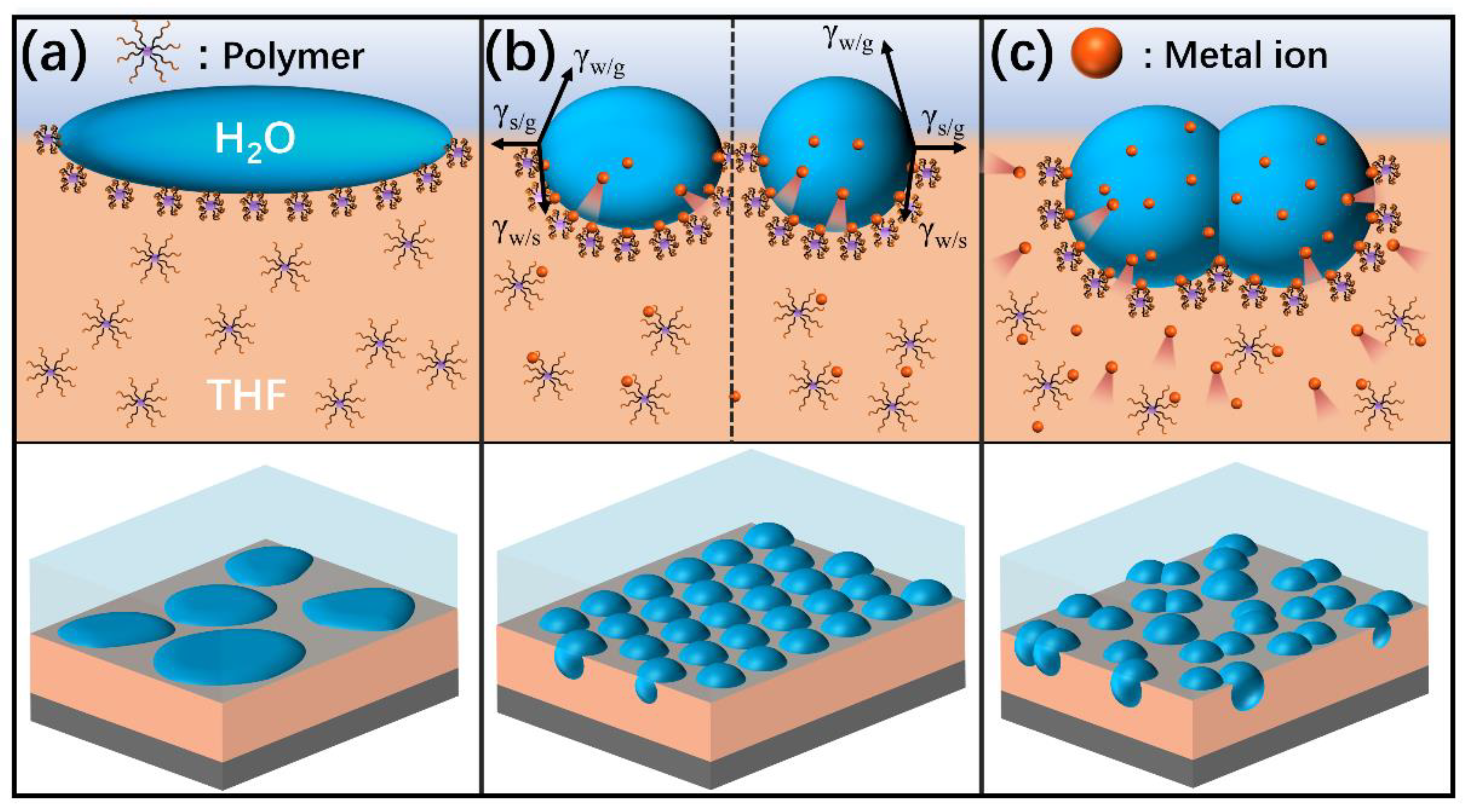 Polymers 13 00316 g006