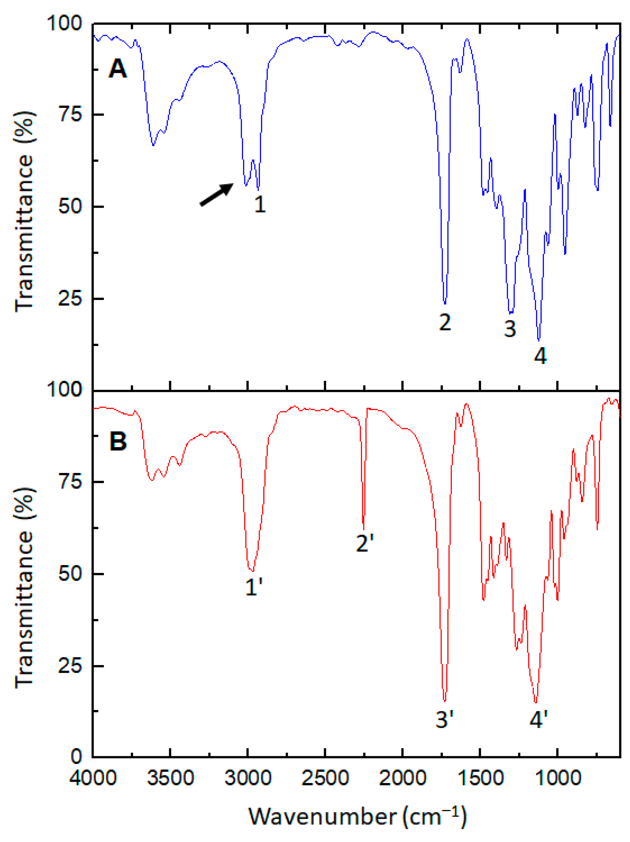 Polymers 13 00317 g001