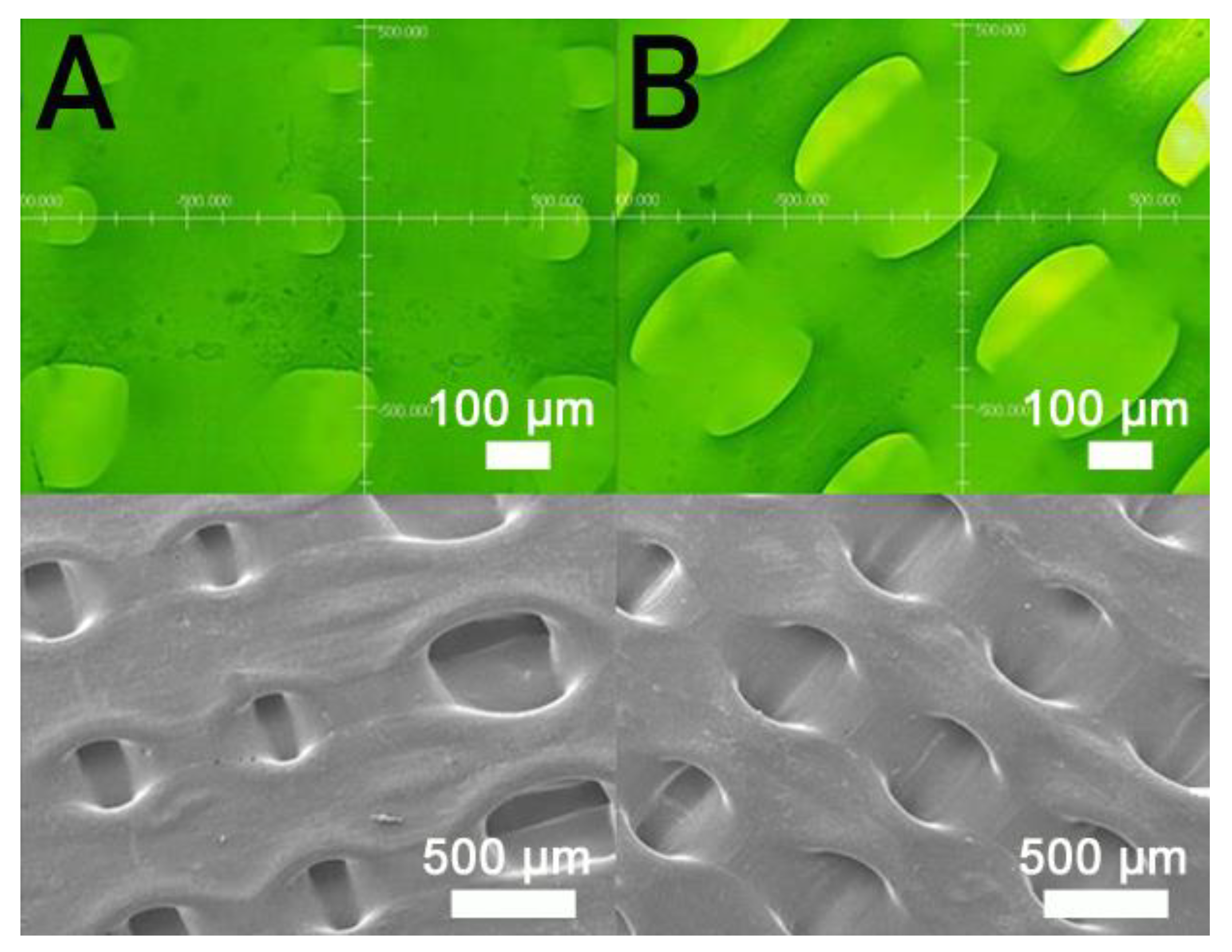 Polymers 13 00318 g010