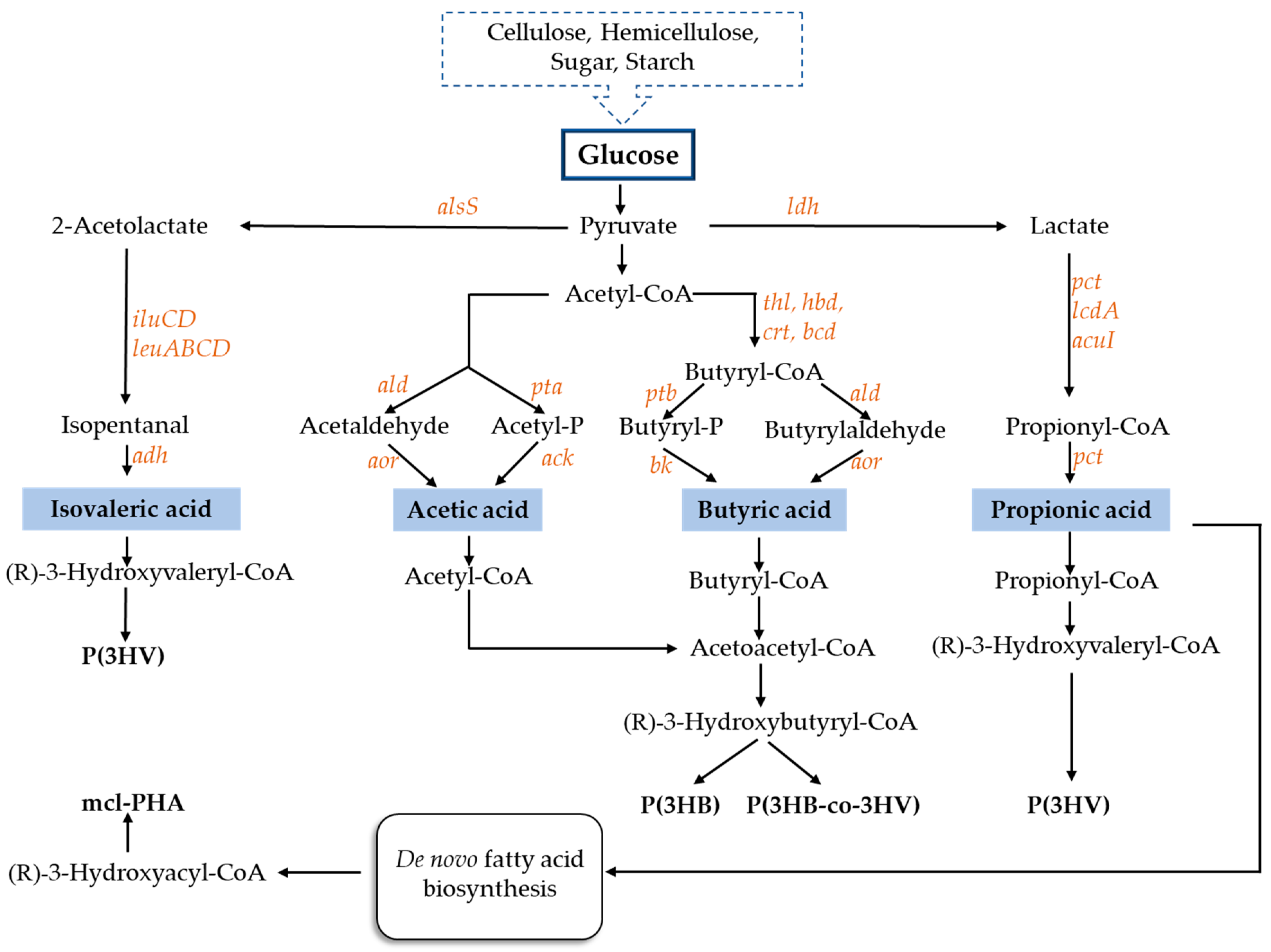 Polymers 13 00321 g001