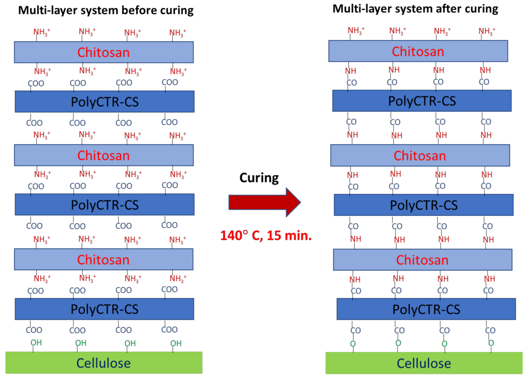 Polymers 13 00322 g001