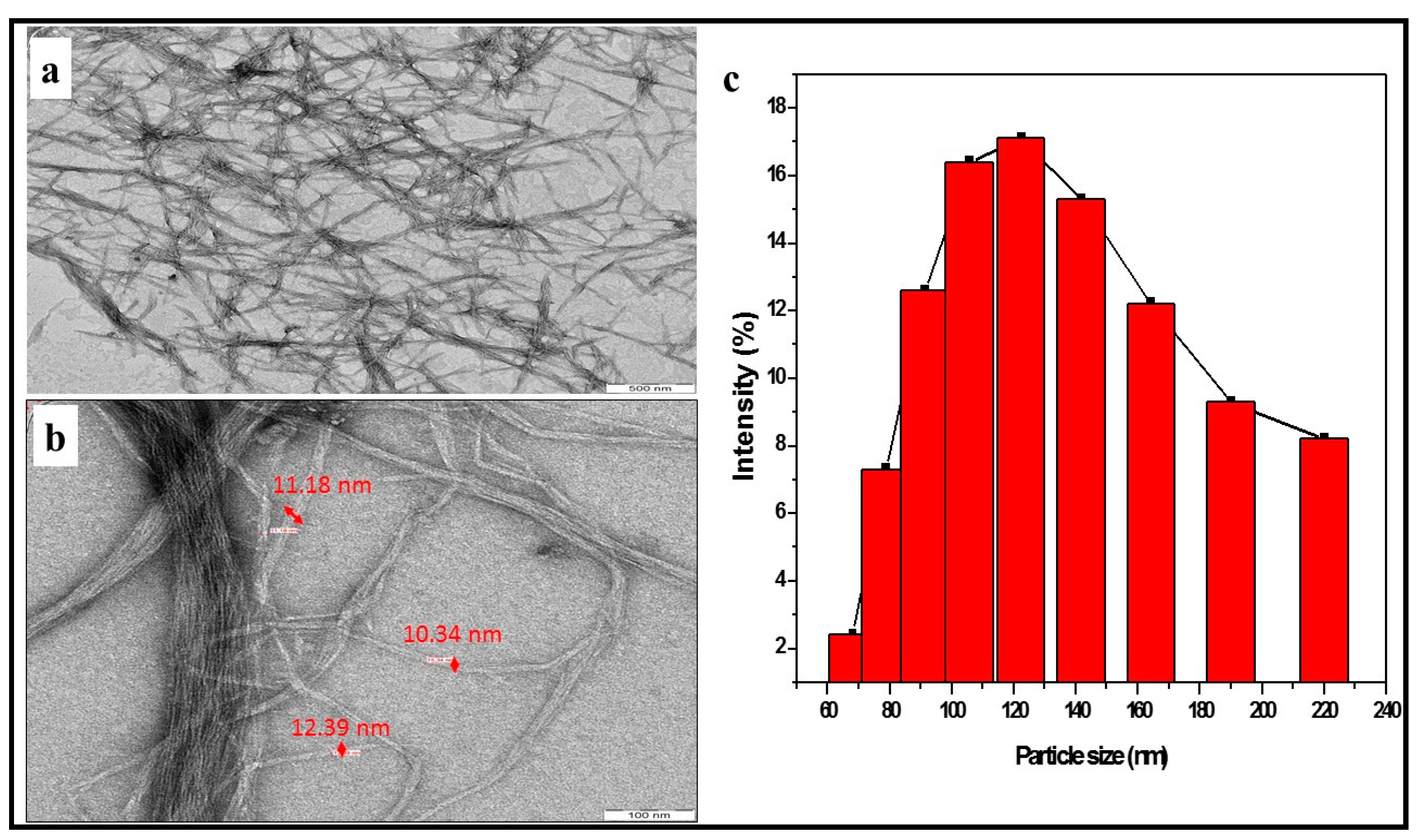 Polymers 13 00325 g002
