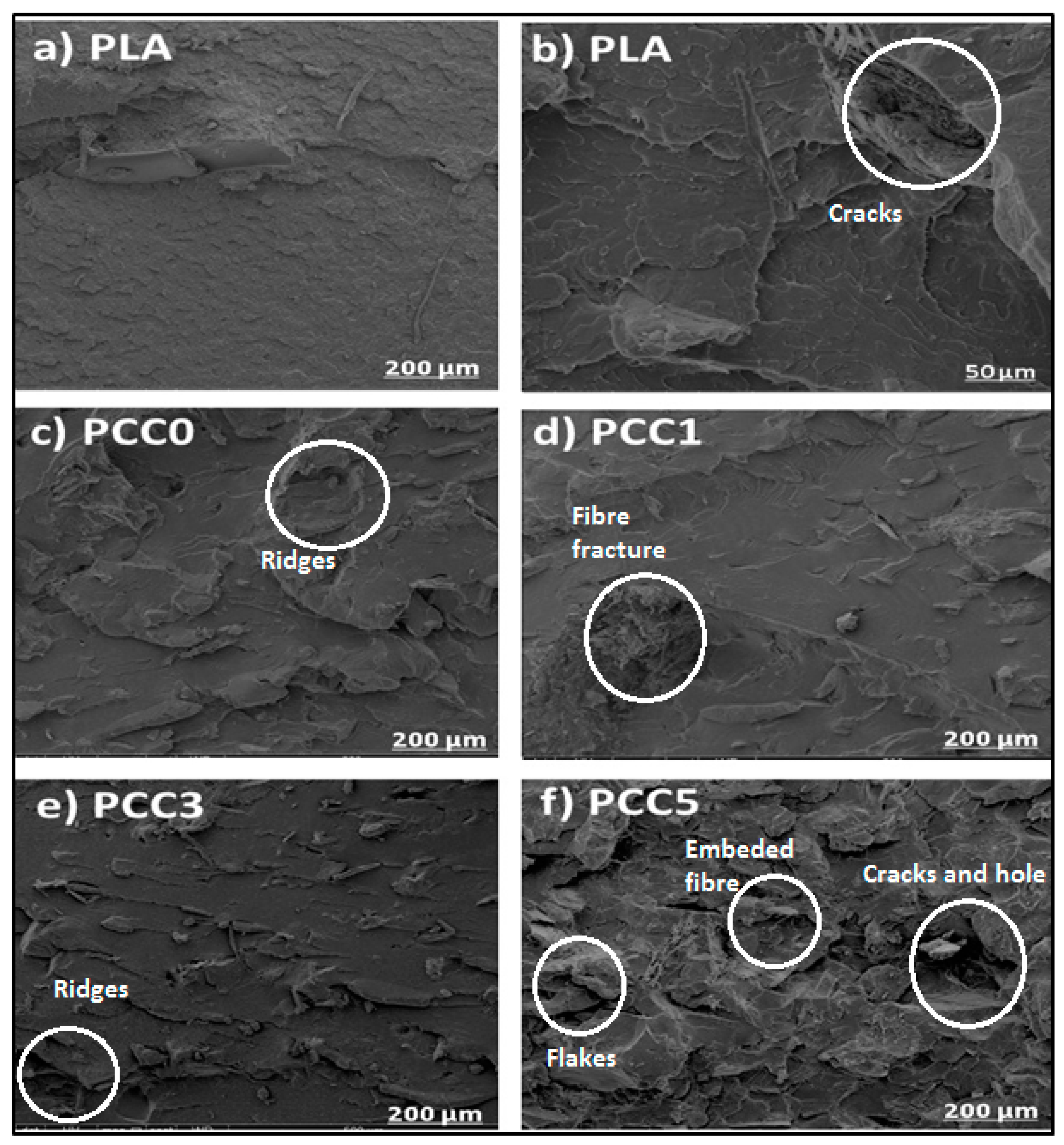 Polymers 13 00325 g005