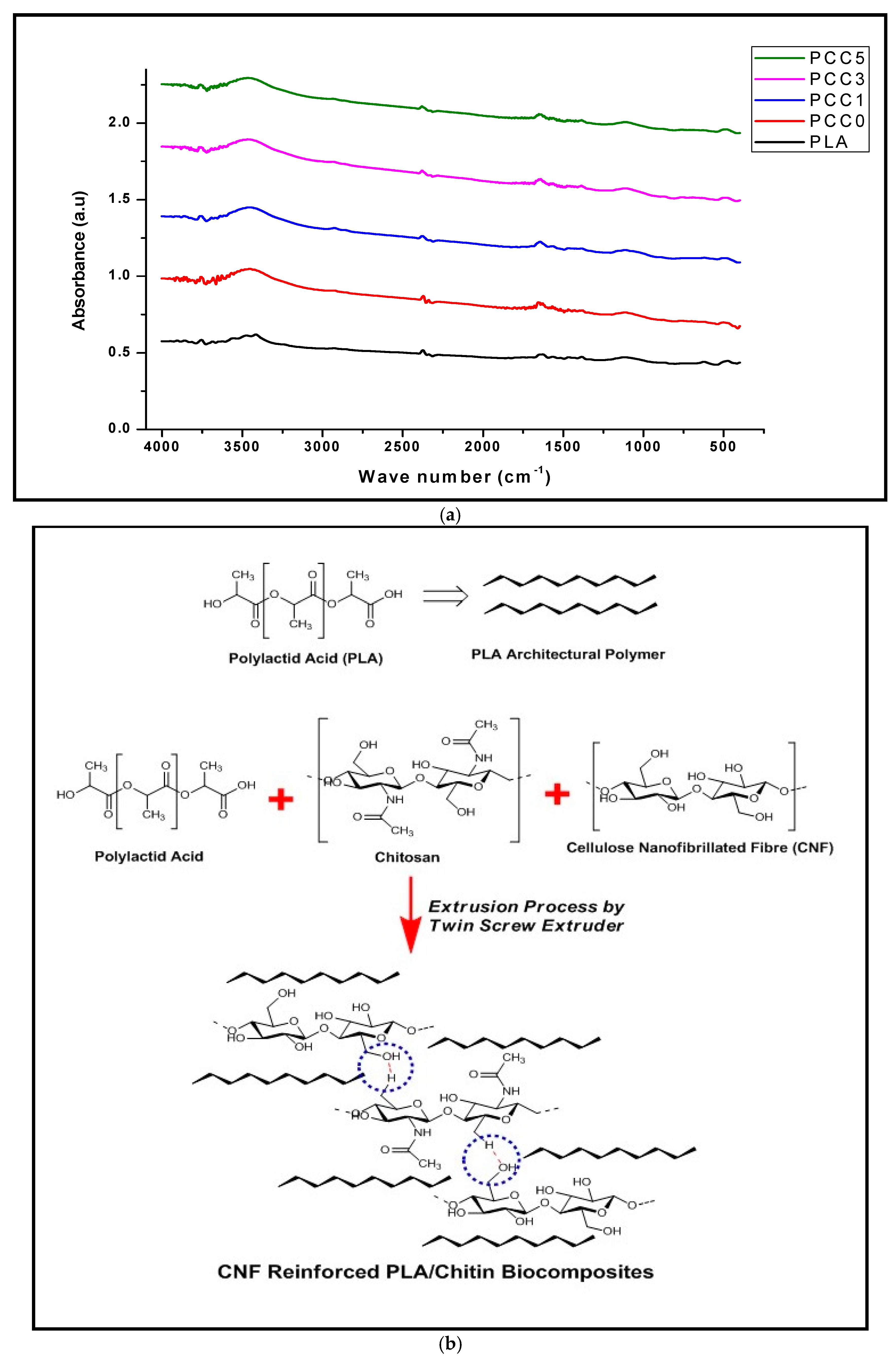 Polymers 13 00325 g007