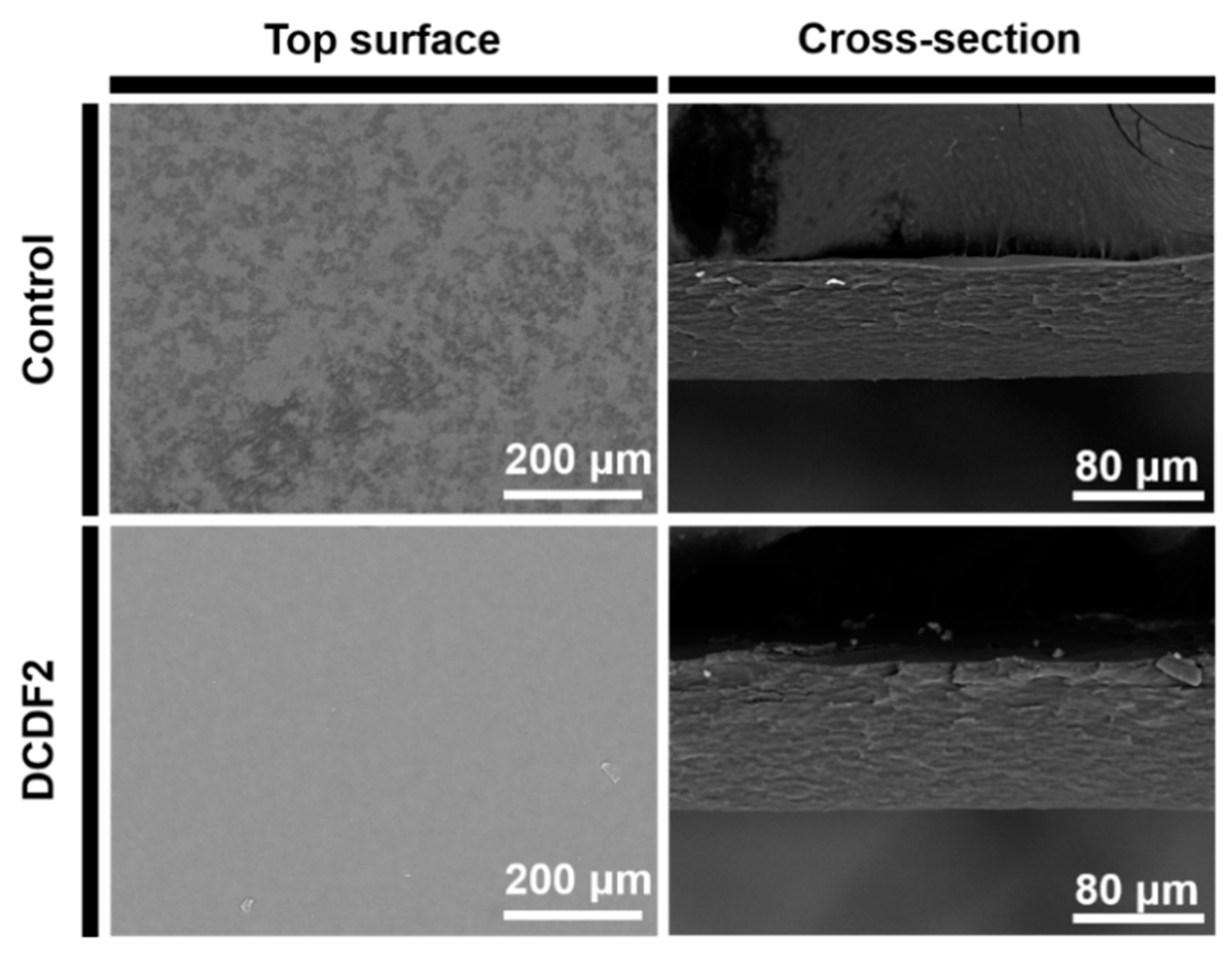 Polymers 13 00326 g002
