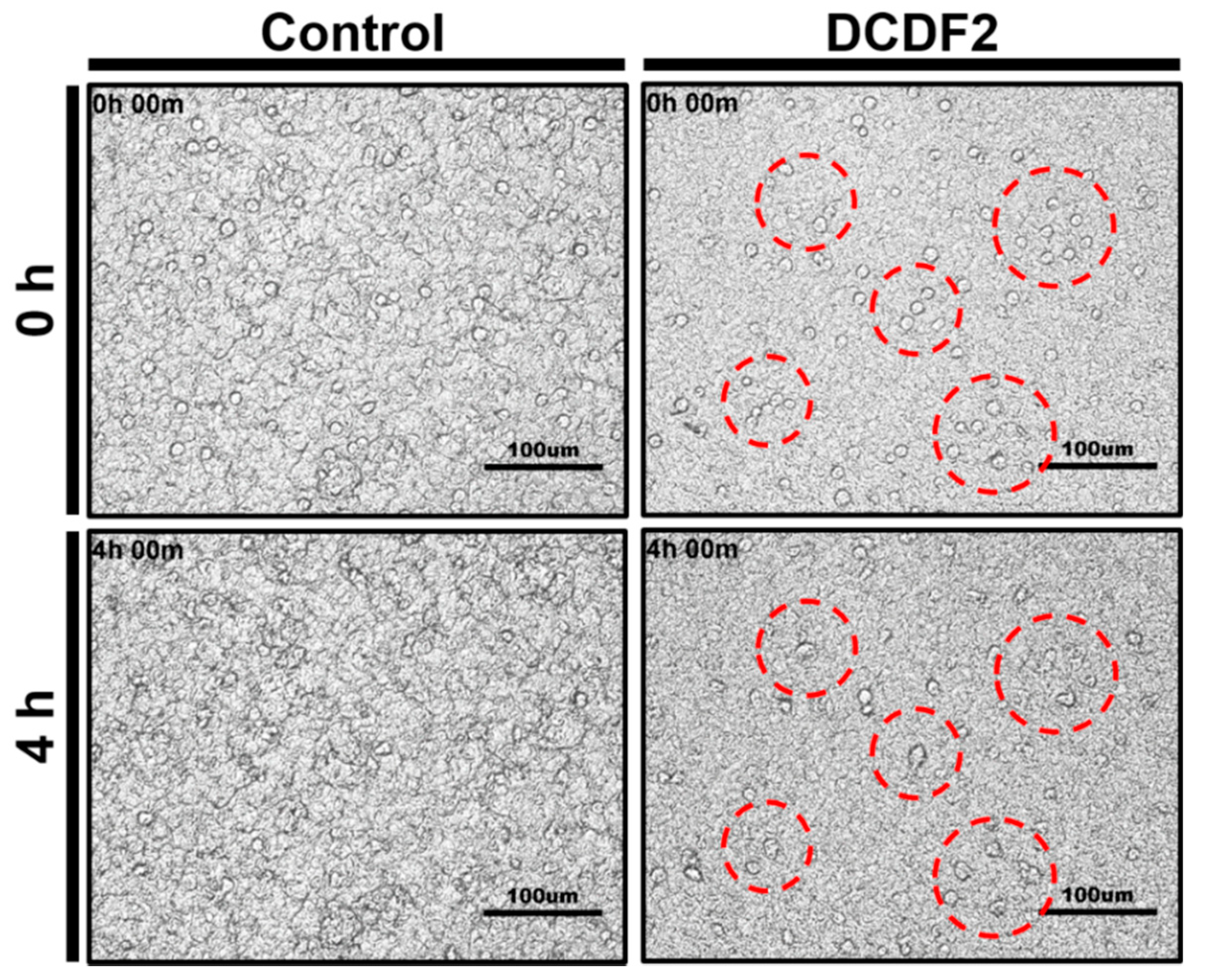 Polymers 13 00326 g007