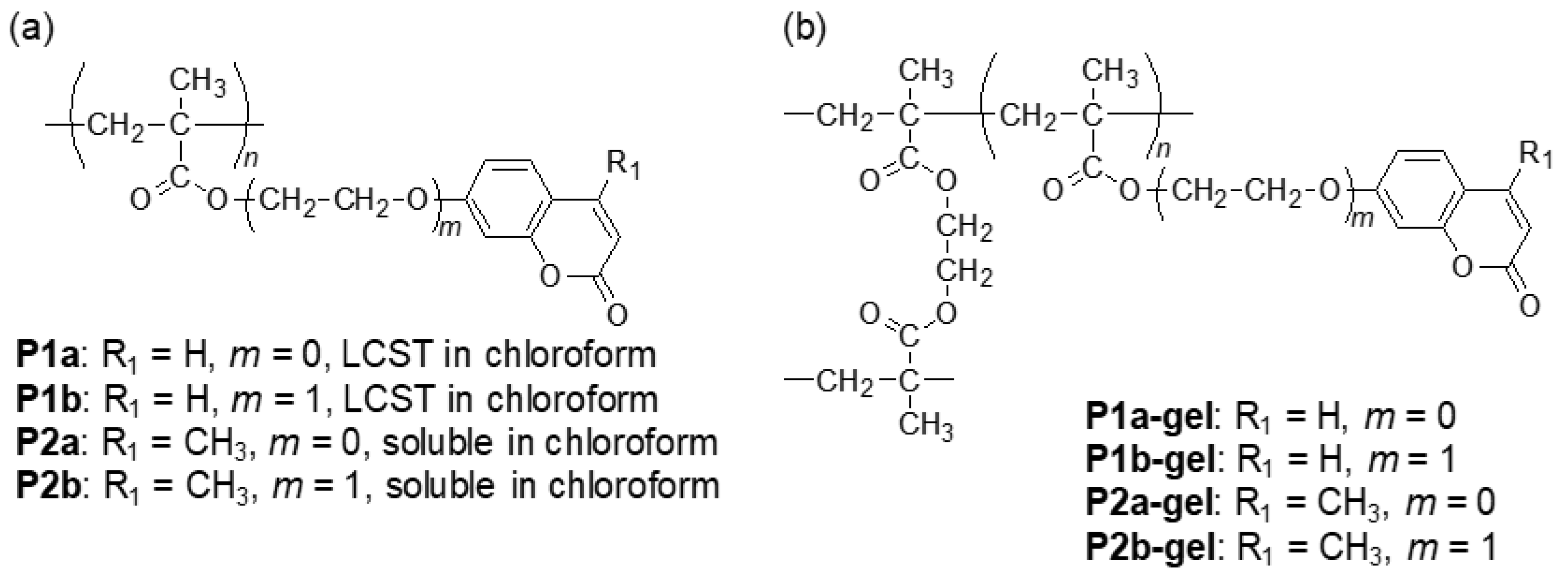 Polymers 13 00329 sch001