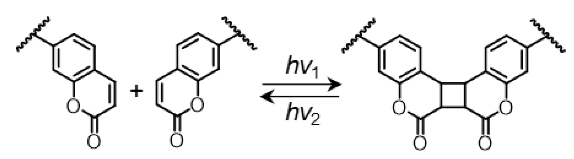 Polymers 13 00329 sch002