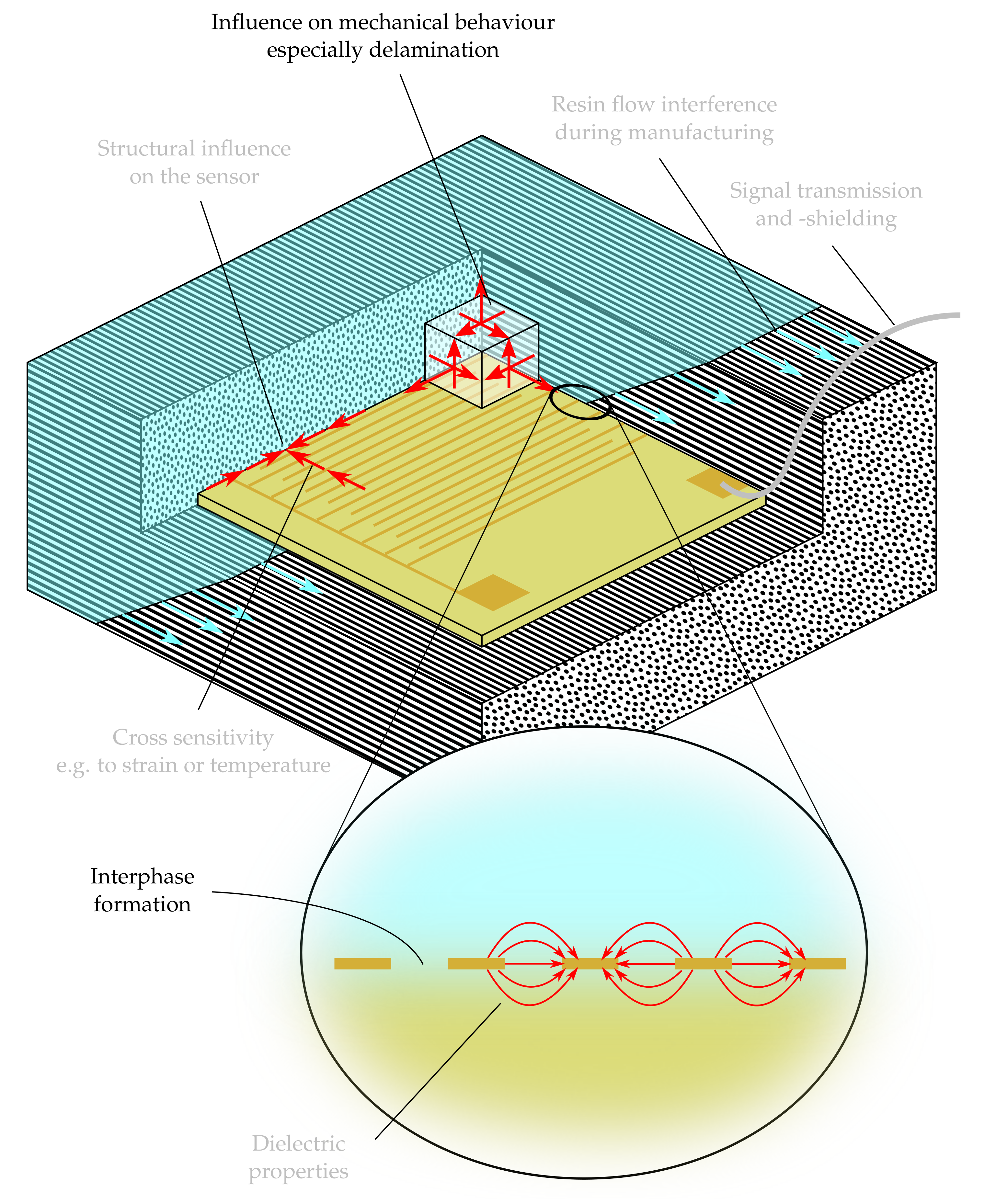 Polymers 13 00330 g001