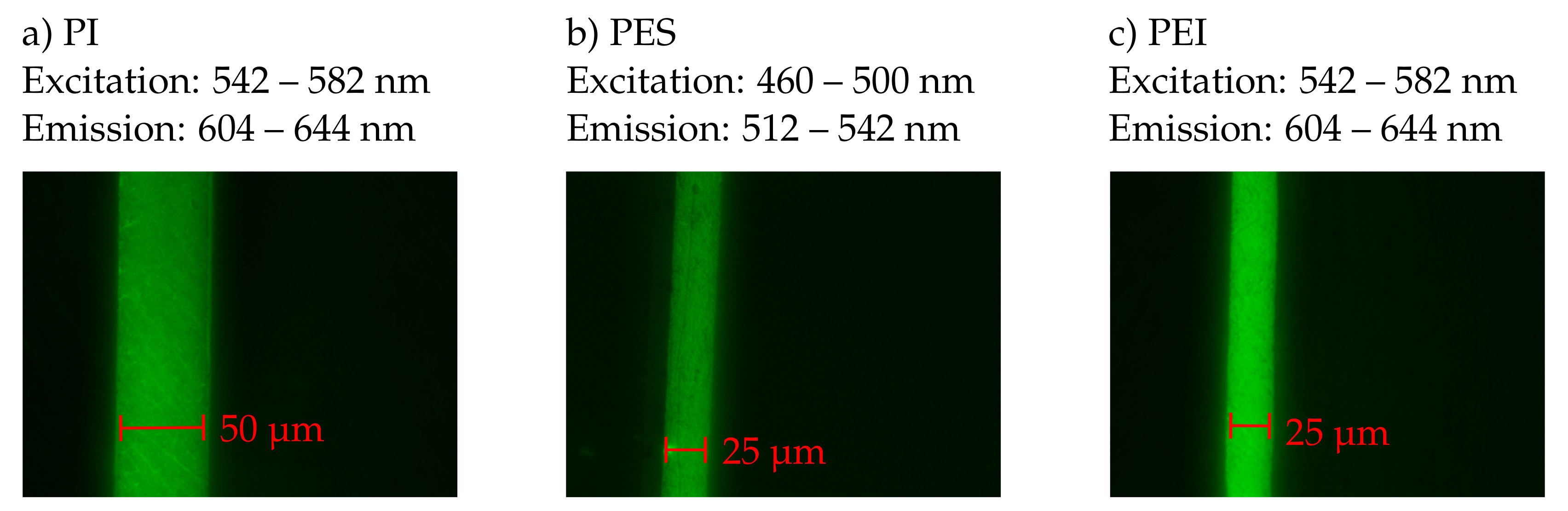 Polymers 13 00330 g006