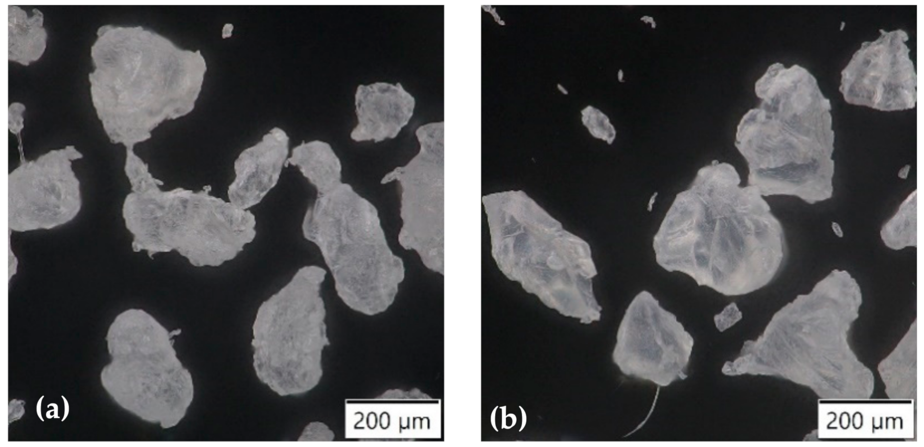 Polymers 13 00331 g001