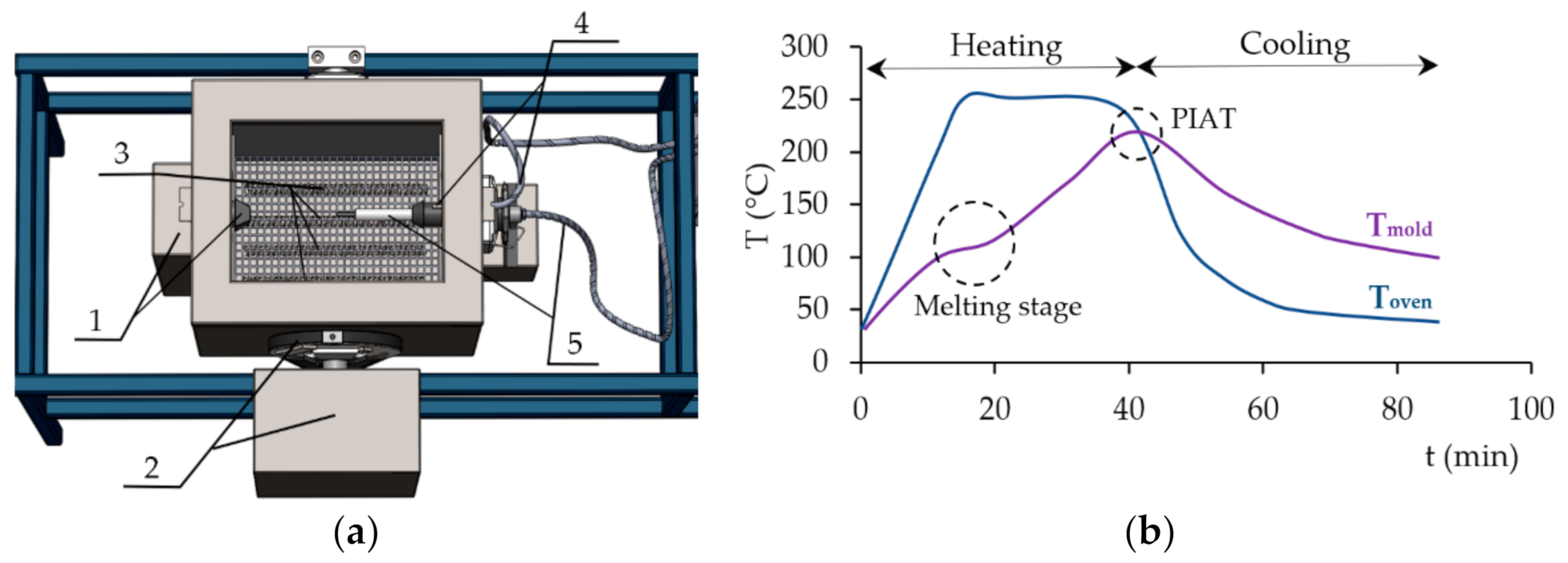 Polymers 13 00331 g002