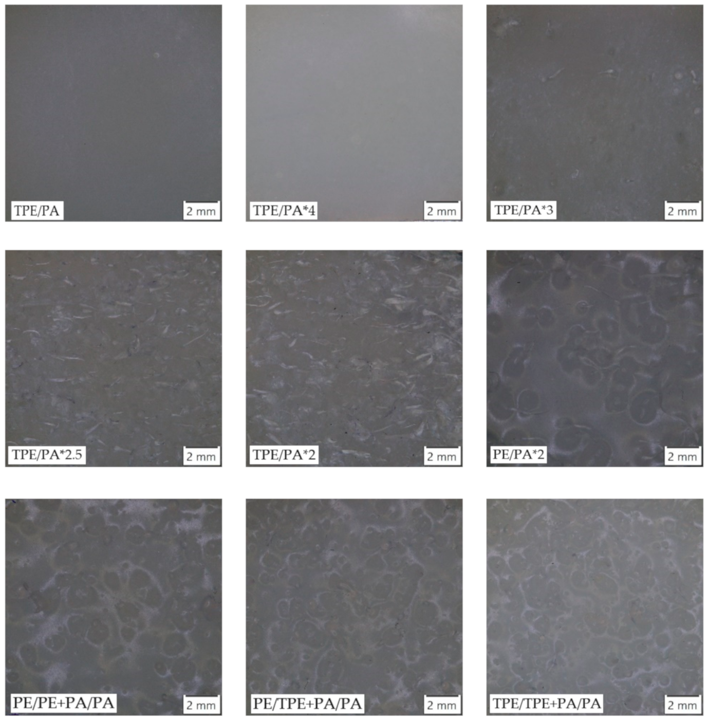 Polymers 13 00331 g005