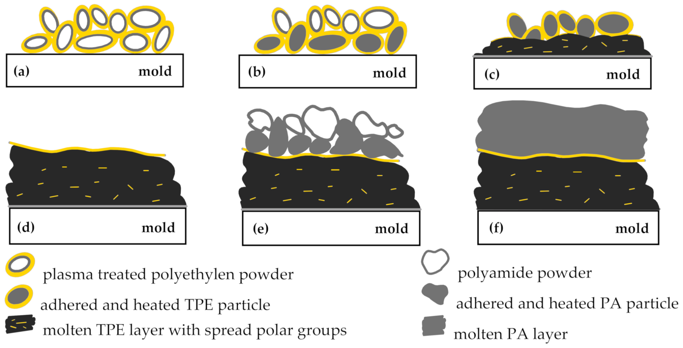 Polymers 13 00331 g007