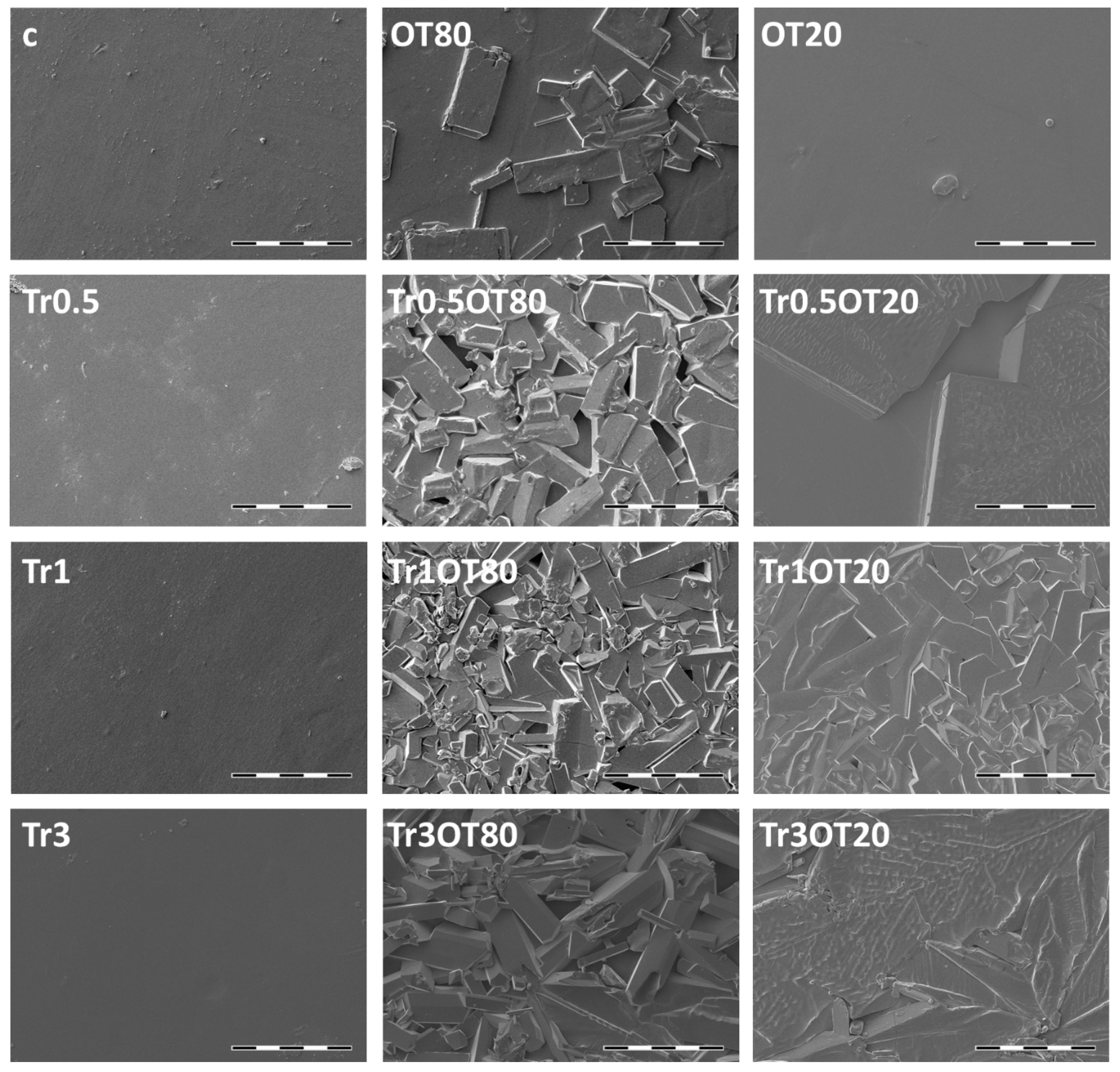 Polymers 13 00332 g004