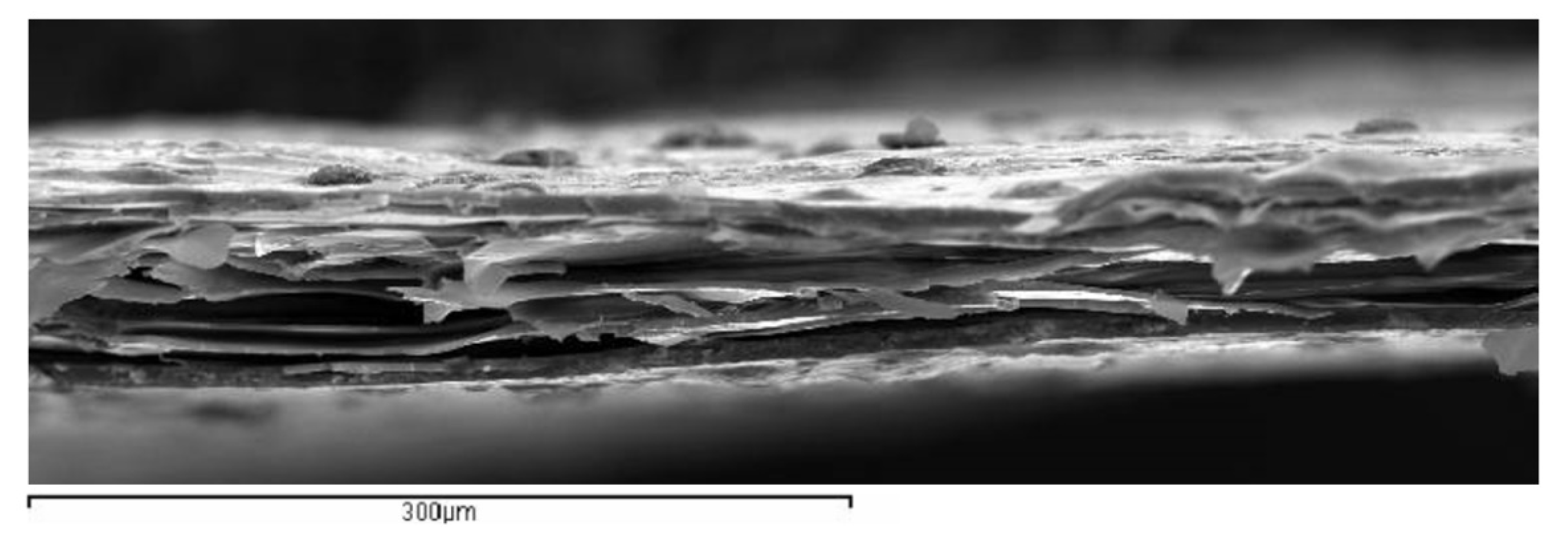 Polymers 13 00333 g001