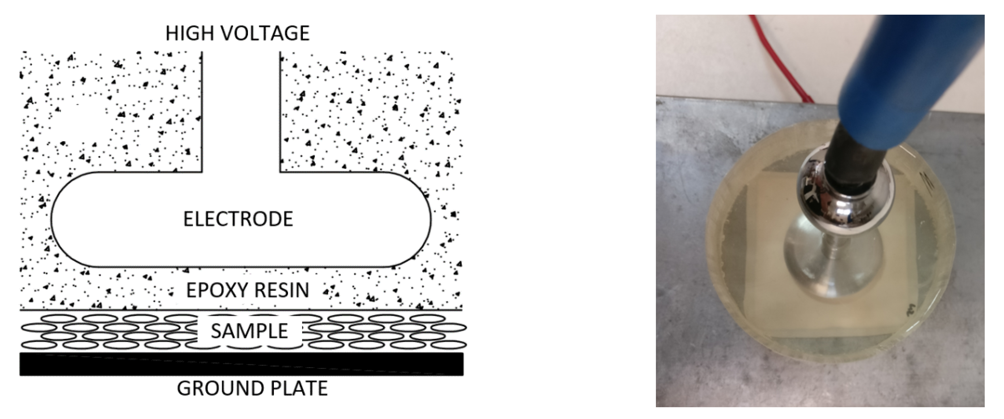 Polymers 13 00333 g006