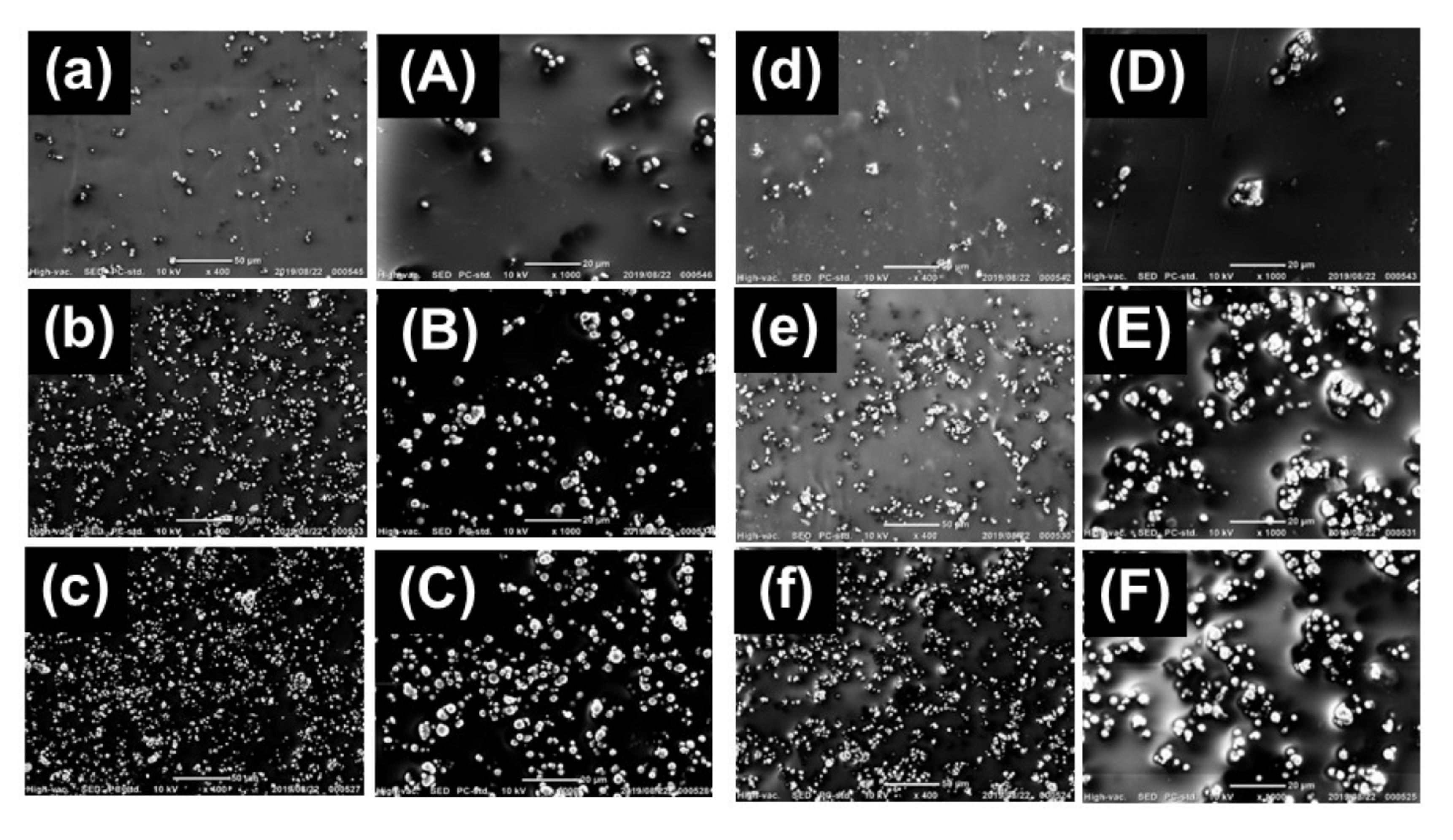 Polymers 13 00335 g005