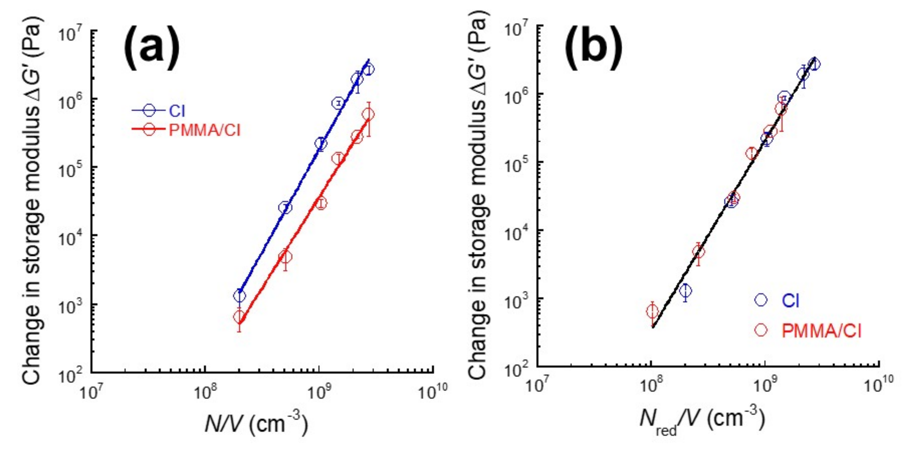 Polymers 13 00335 g006