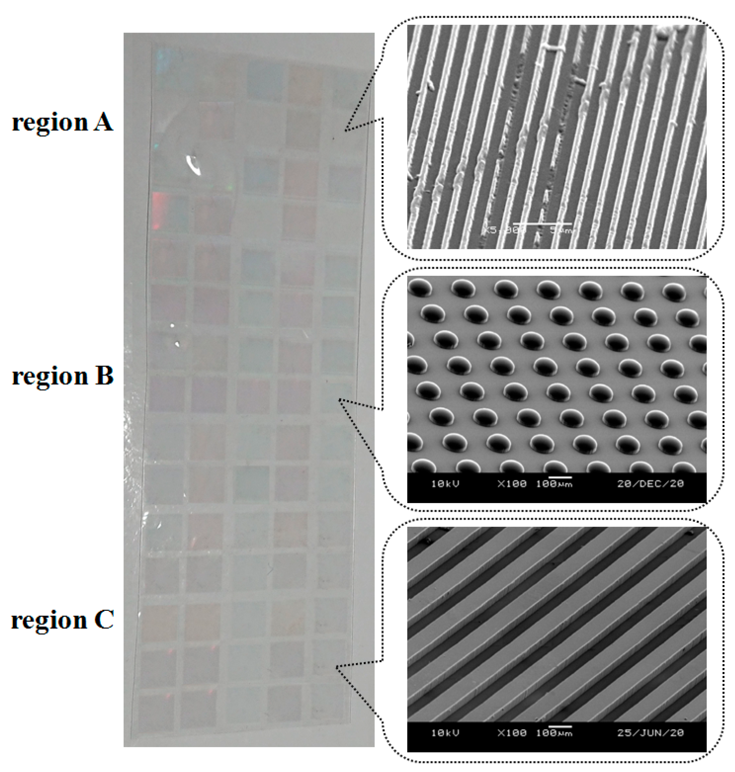Polymers 13 00337 g008