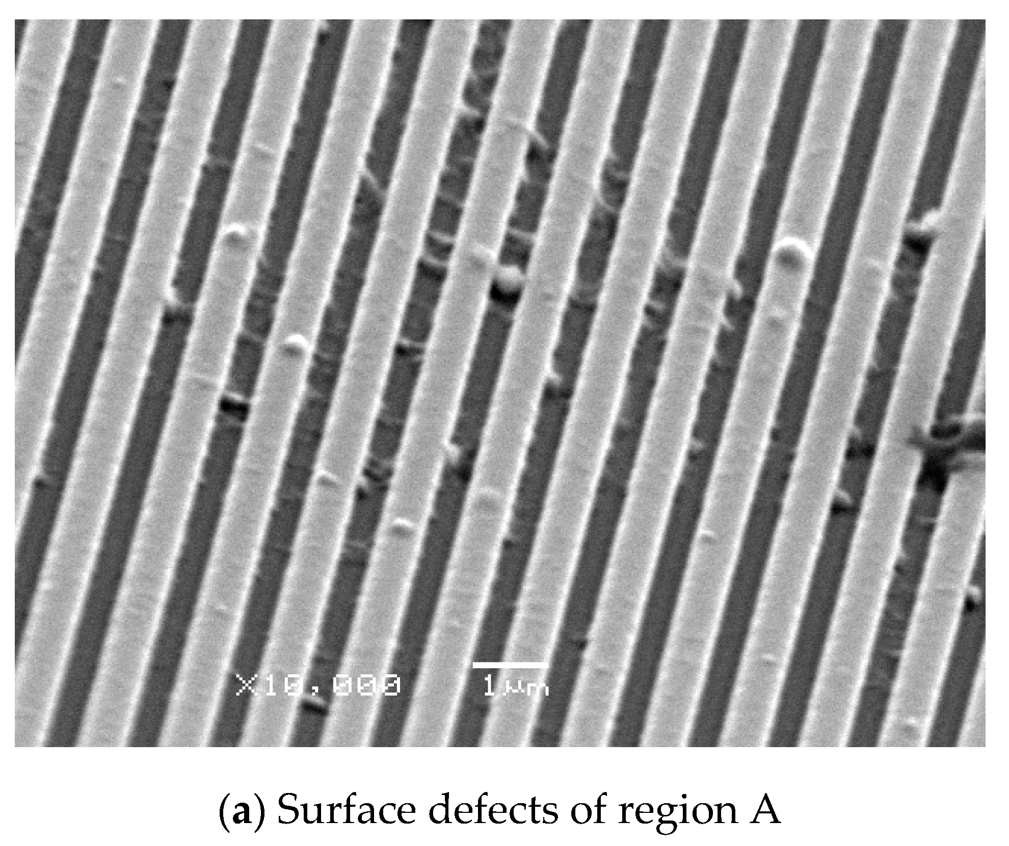 Polymers 13 00337 g009a