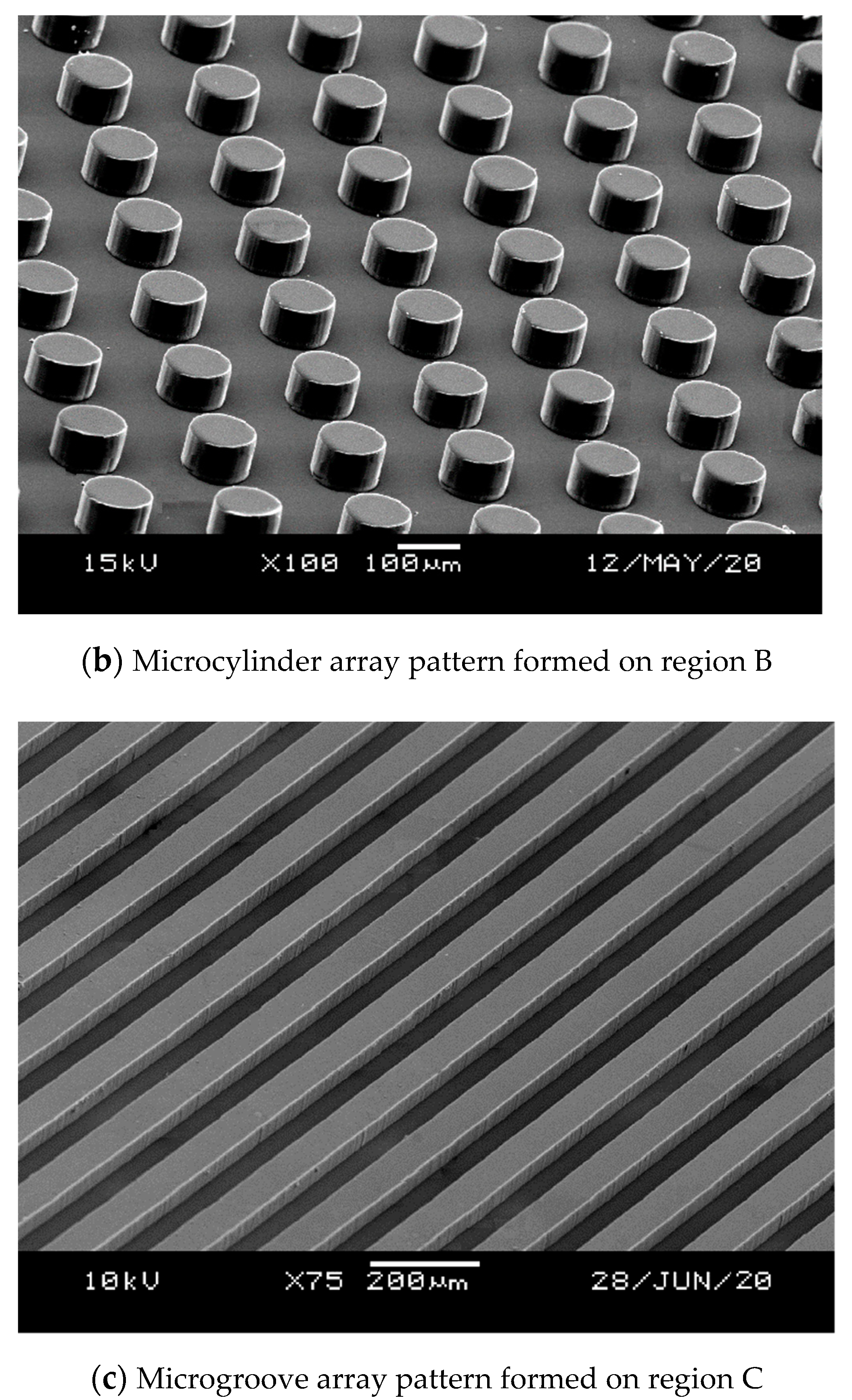 Polymers 13 00337 g010b