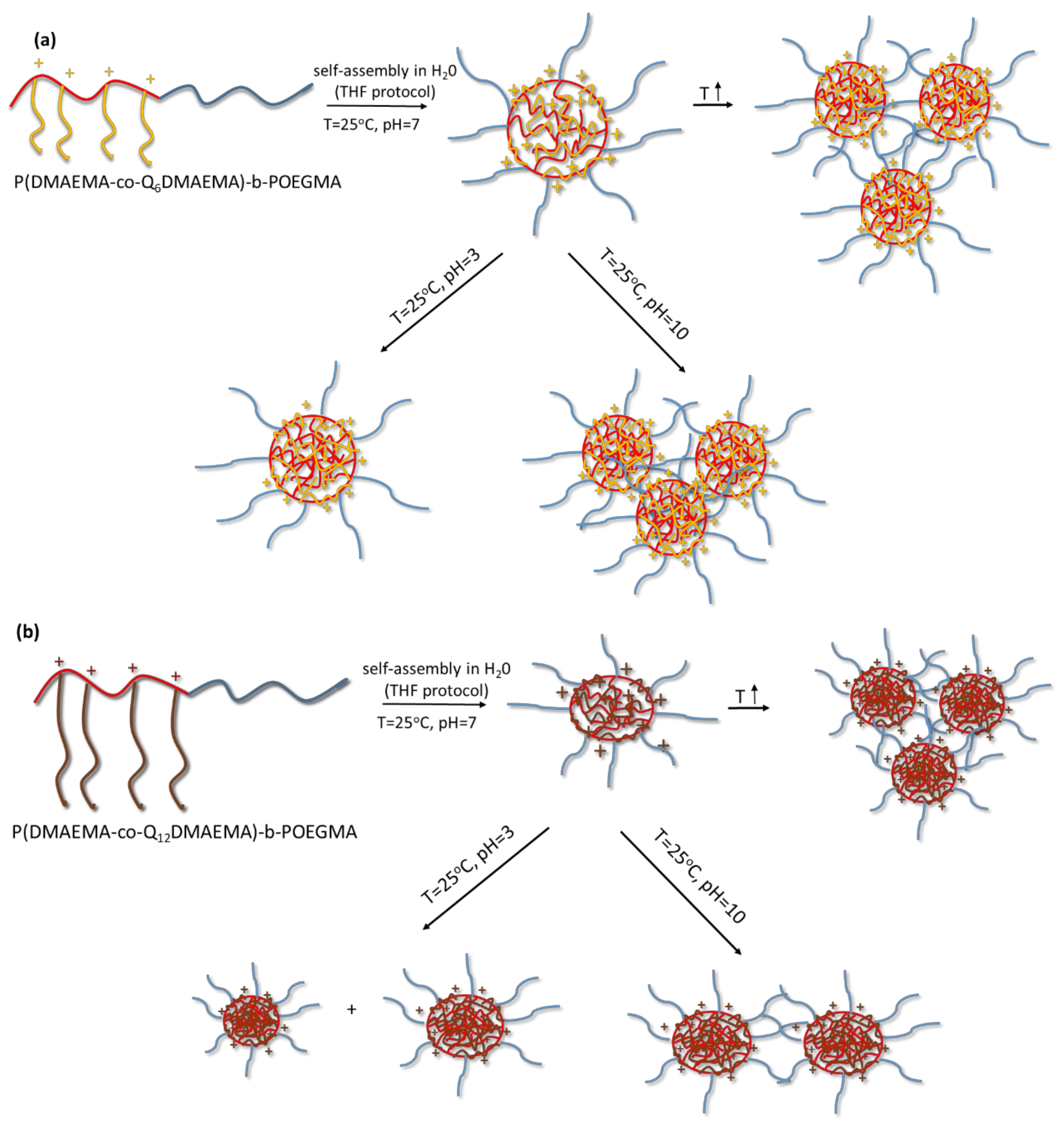 Polymers 13 00338 sch002