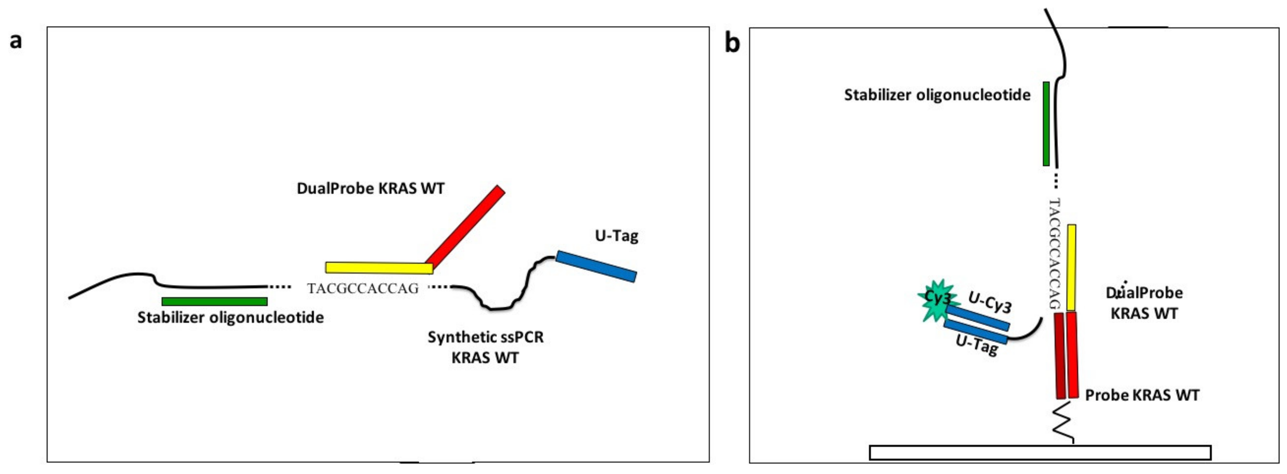 Polymers 13 00340 g002 Polymers 13 00340 g002