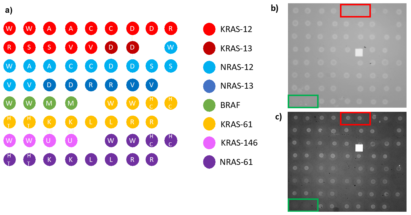 Polymers 13 00340 g003 Polymers 13 00340 g003