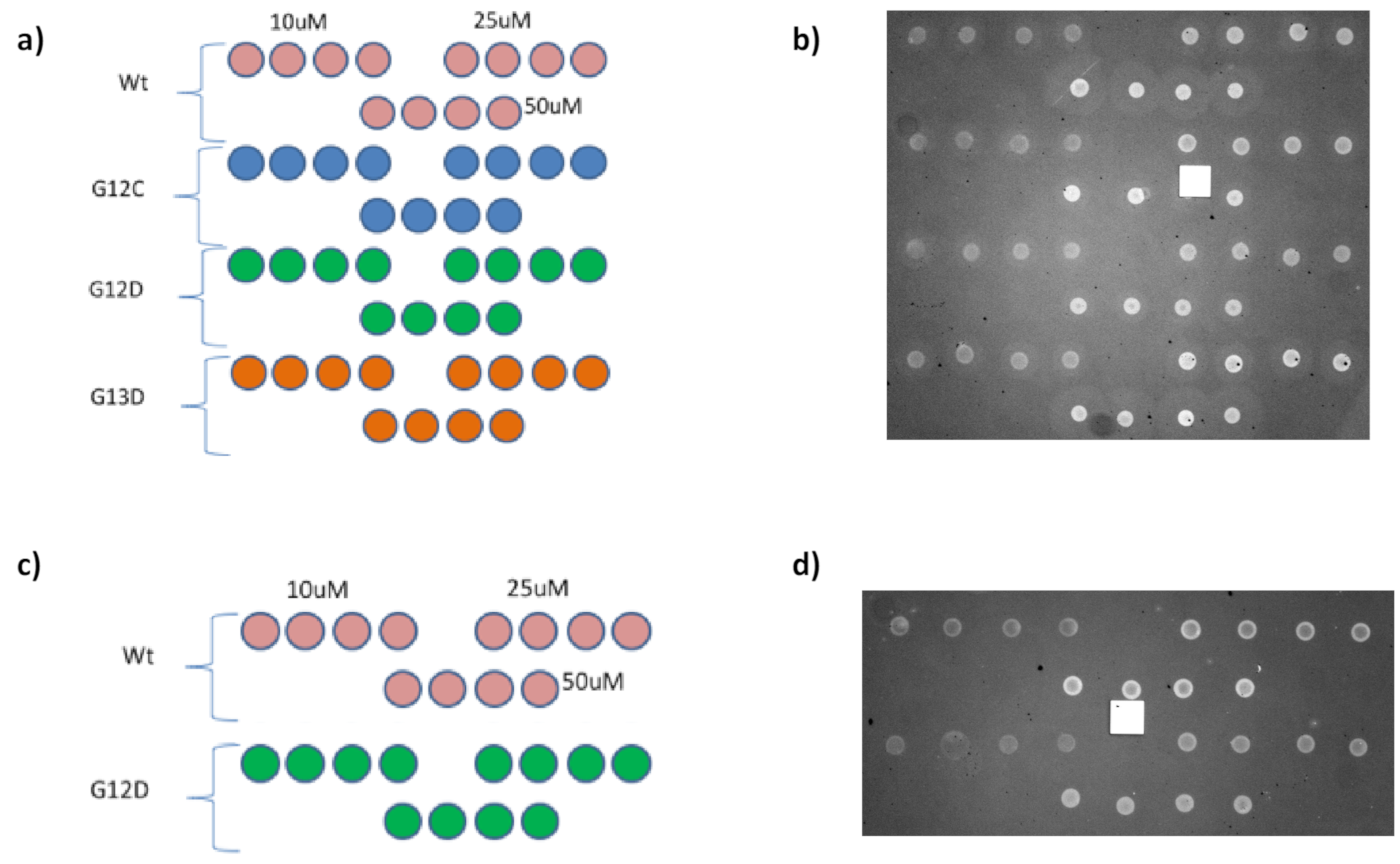 Polymers 13 00340 g005 Polymers 13 00340 g005
