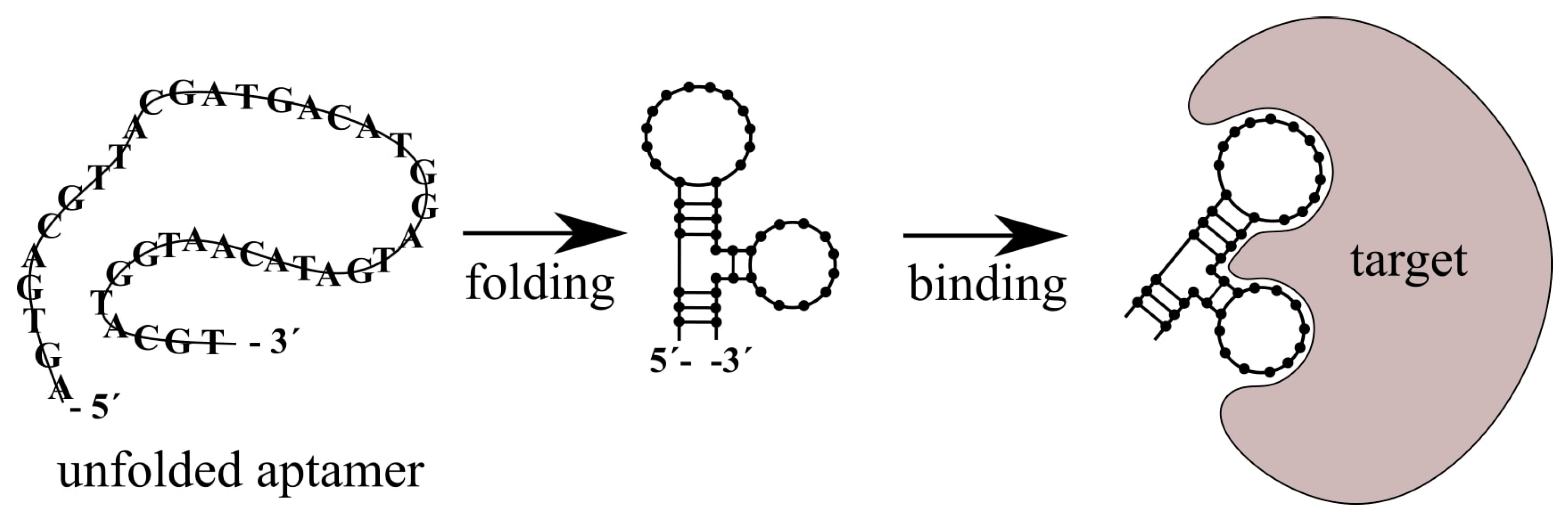 Polymers 13 00341 g007 Polymers 13 00341 g007