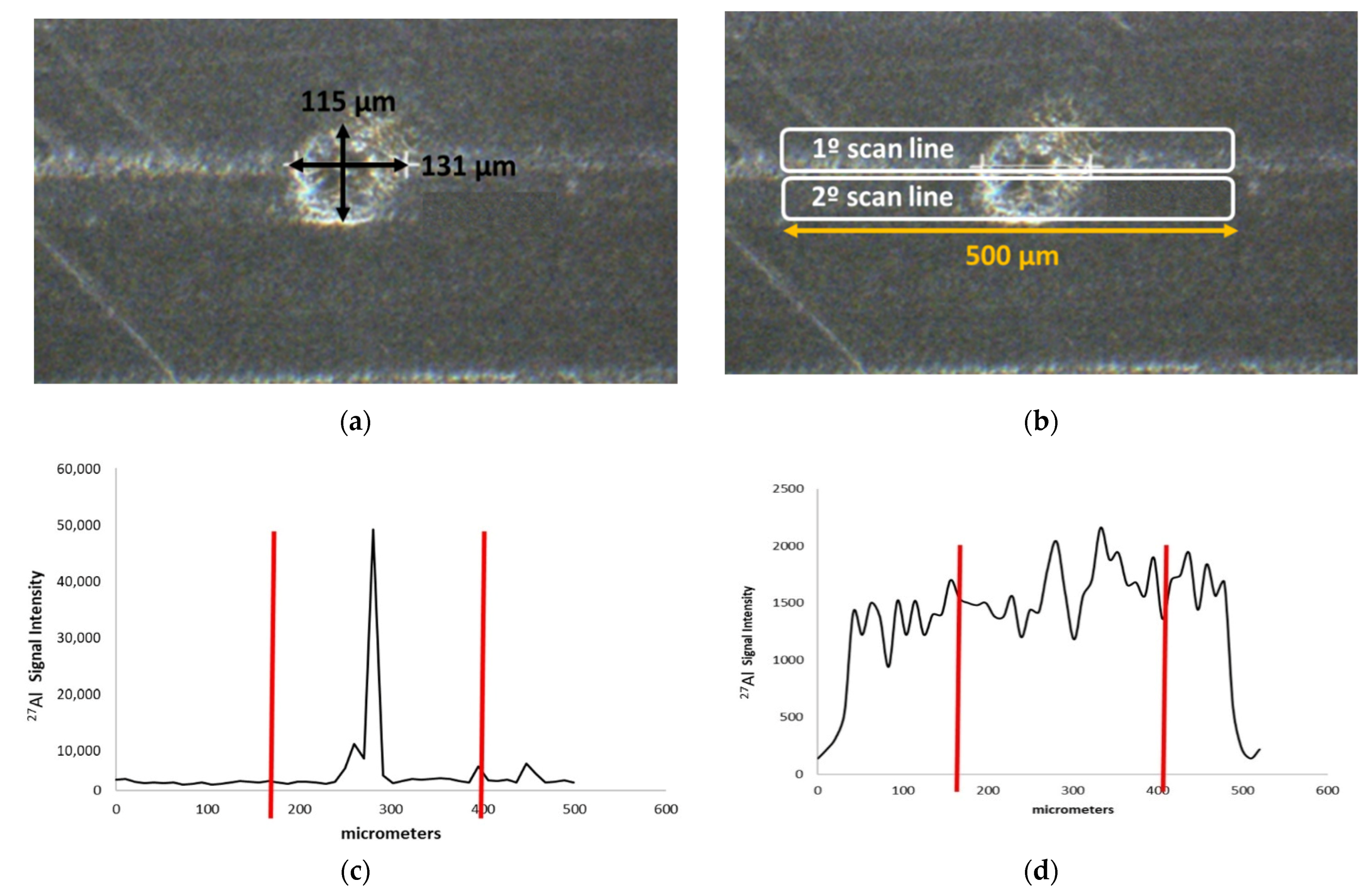 Polymers 13 00345 g001
