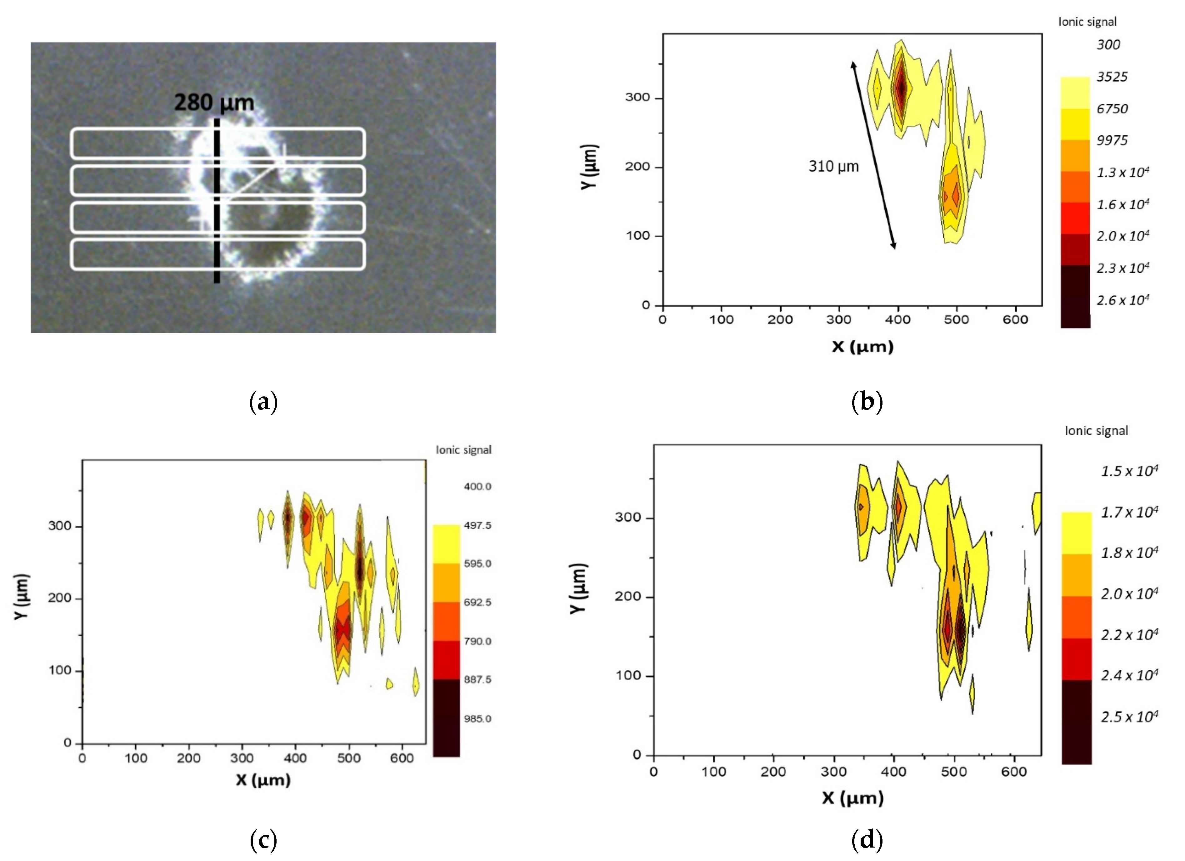Polymers 13 00345 g002