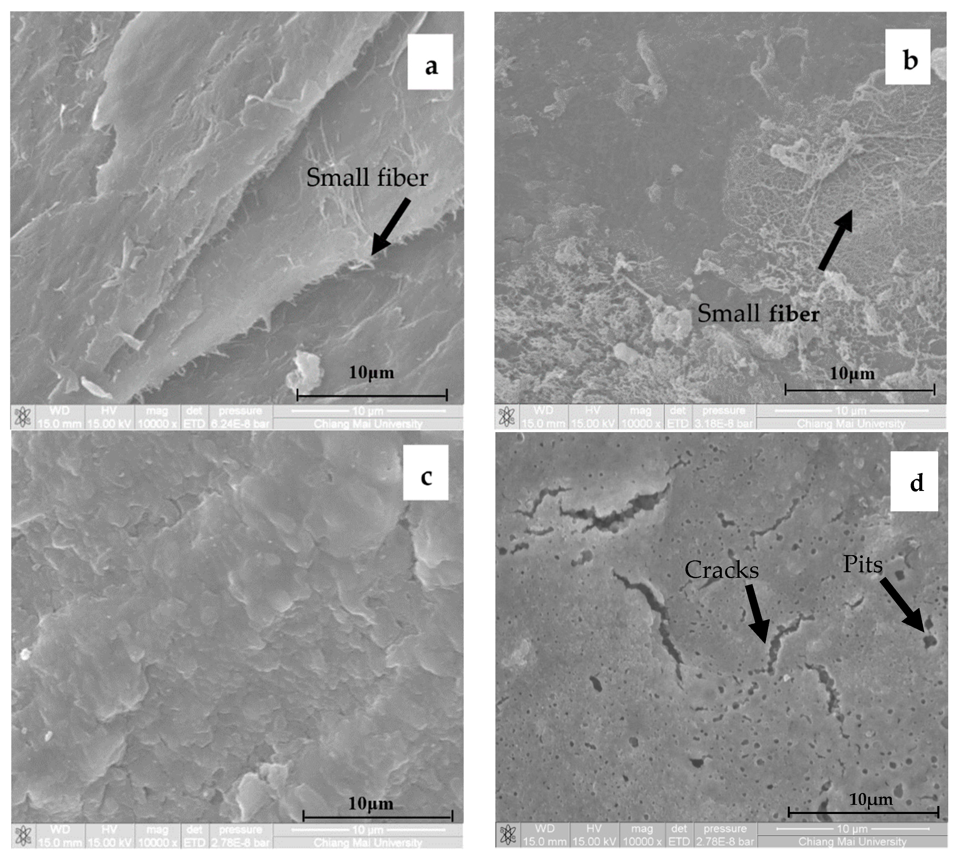 Polymers 13 00348 g007a