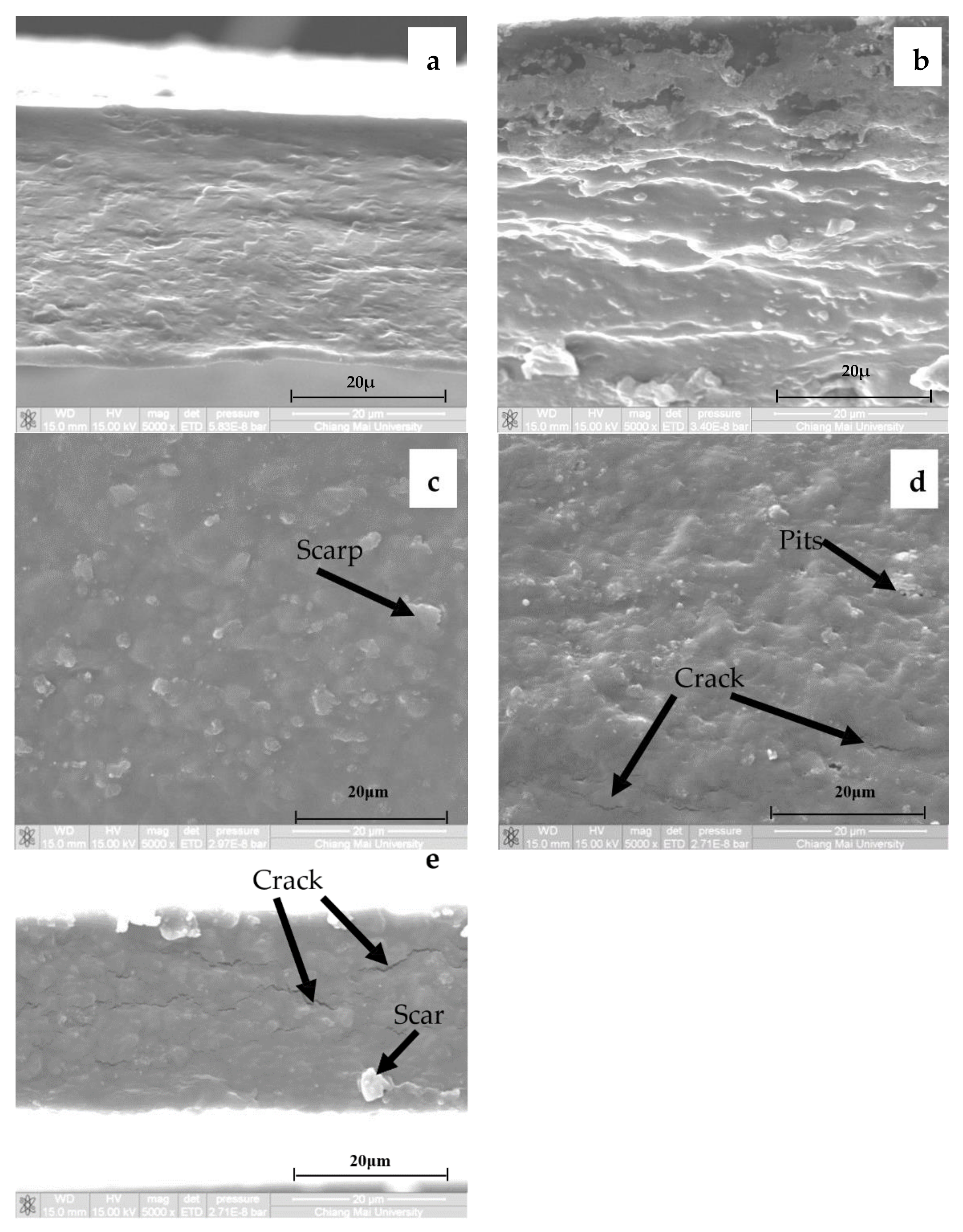 Polymers 13 00348 g010