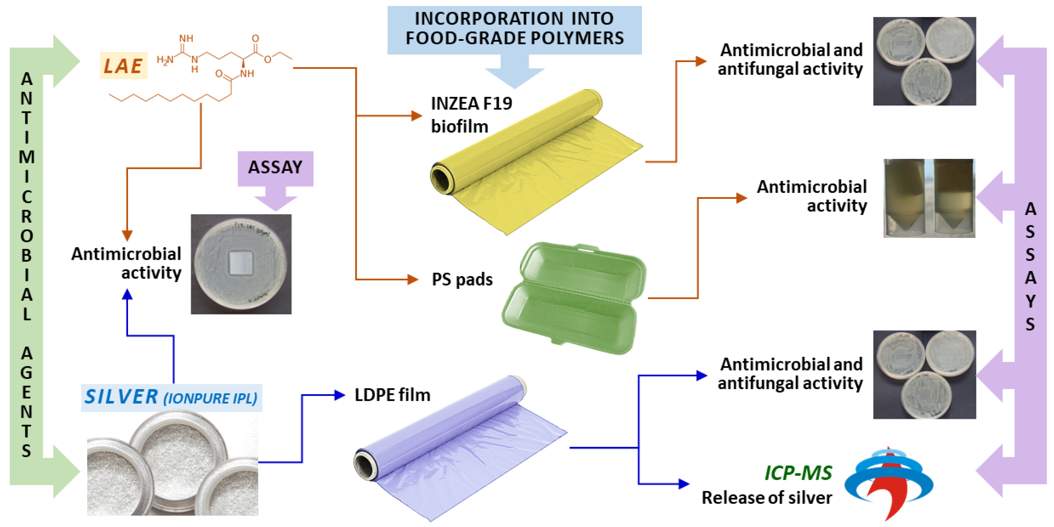 Polymers 13 00355 g001