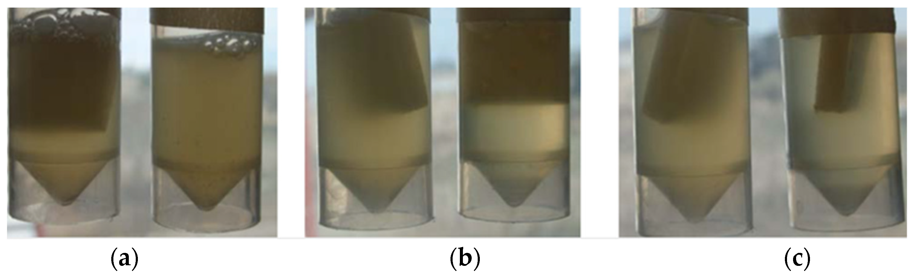 Polymers 13 00355 g005