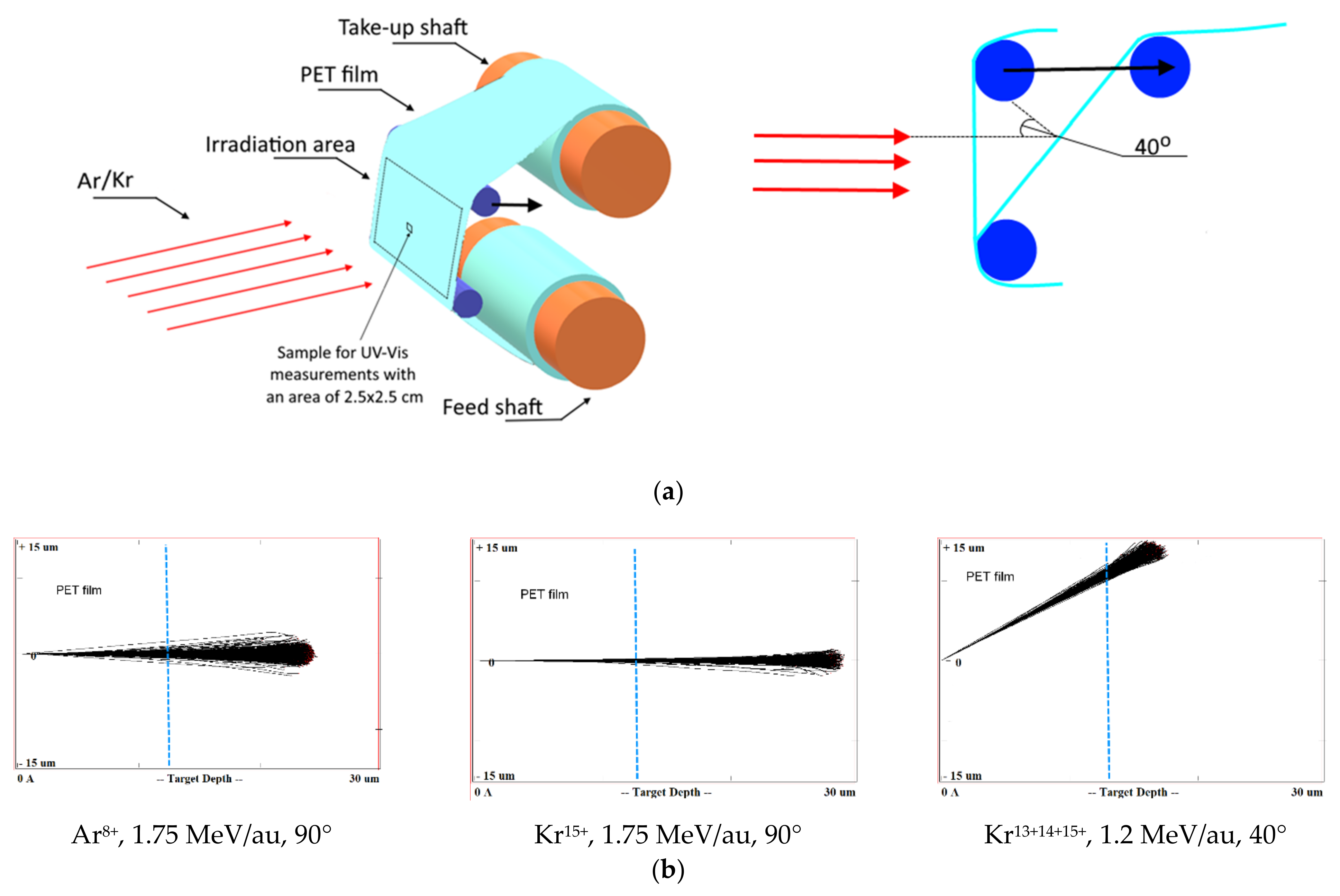 Polymers 13 00358 g001a Polymers 13 00358 g001a