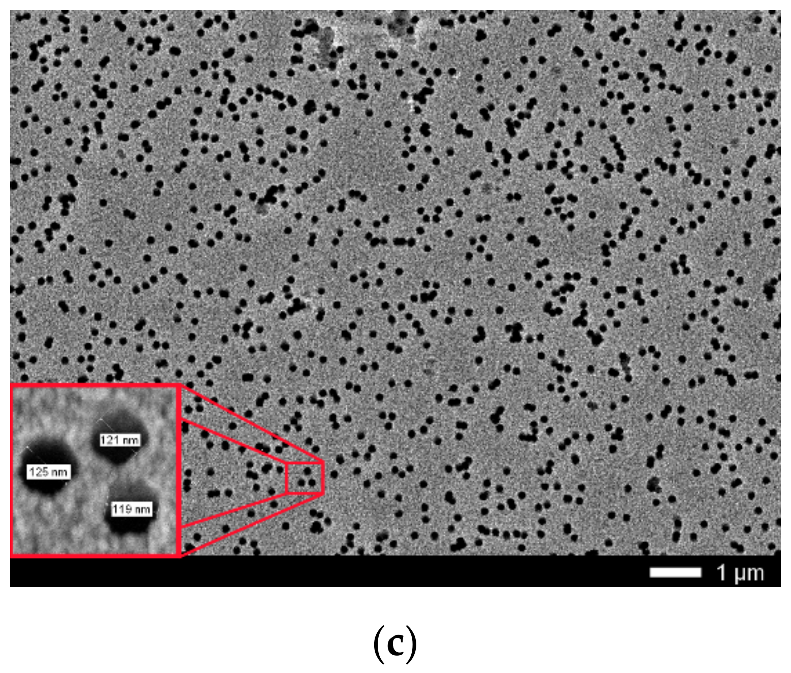 Polymers 13 00358 g001b Polymers 13 00358 g001b