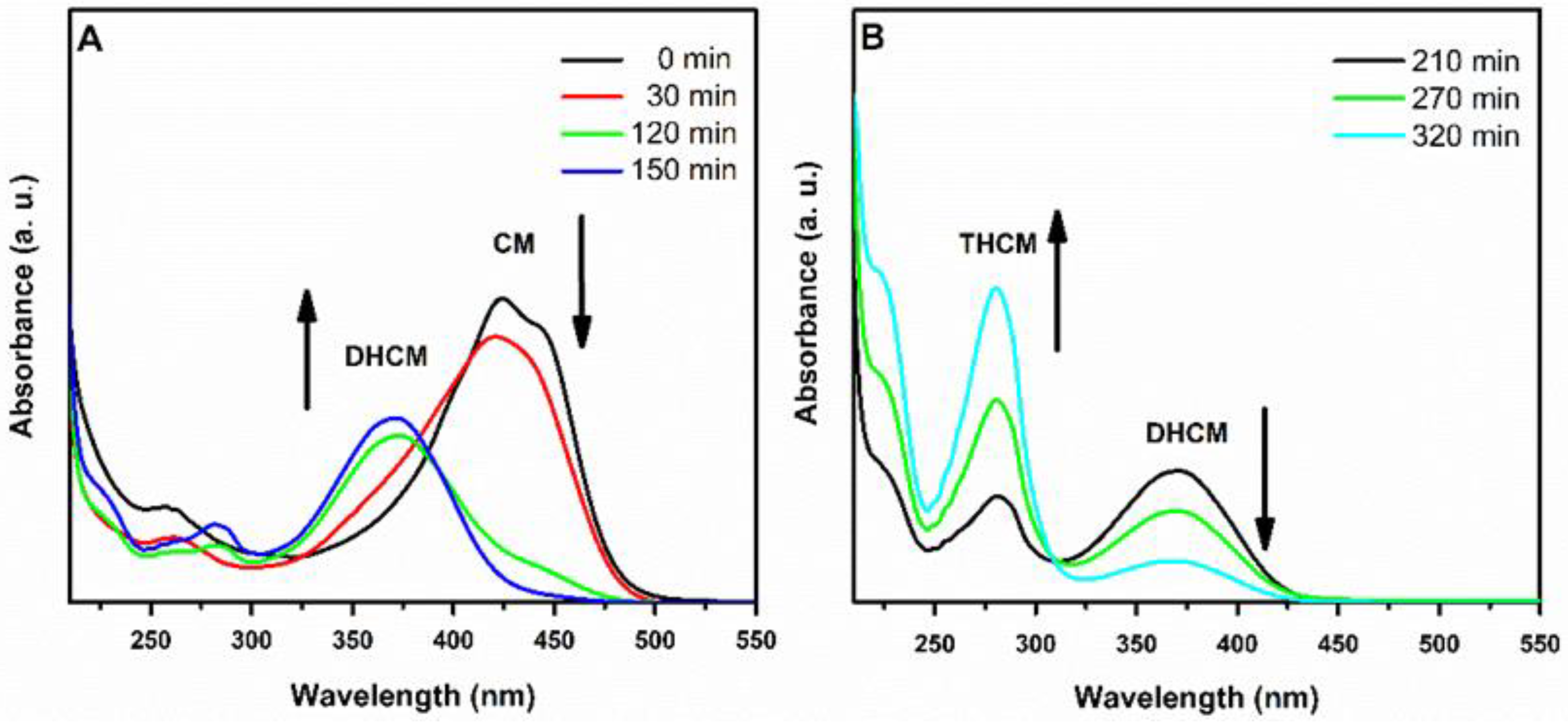 Polymers 13 00361 g004
