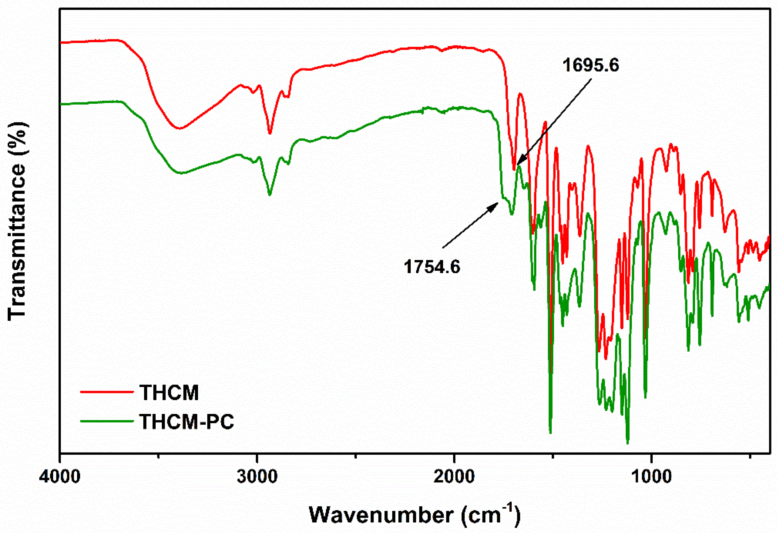 Polymers 13 00361 g009