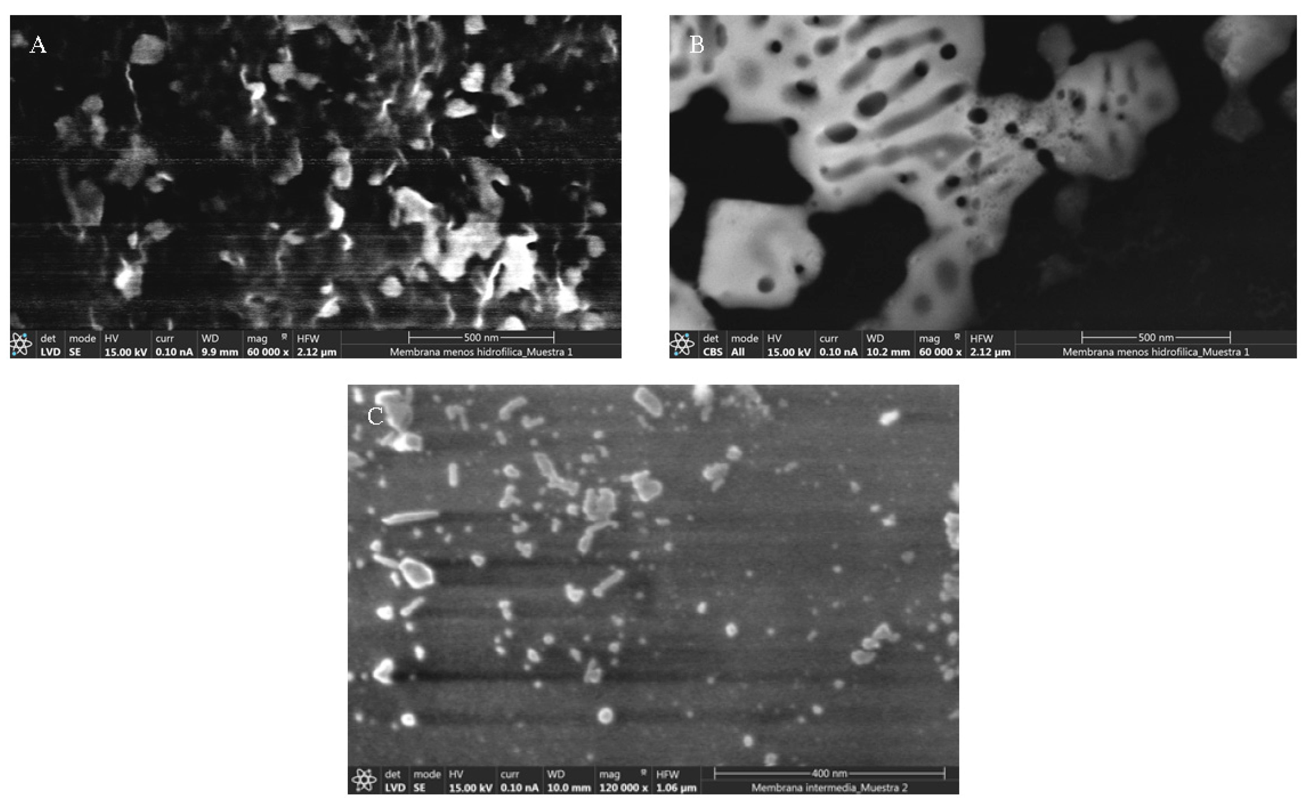 Polymers 13 00363 g002 Polymers 13 00363 g002