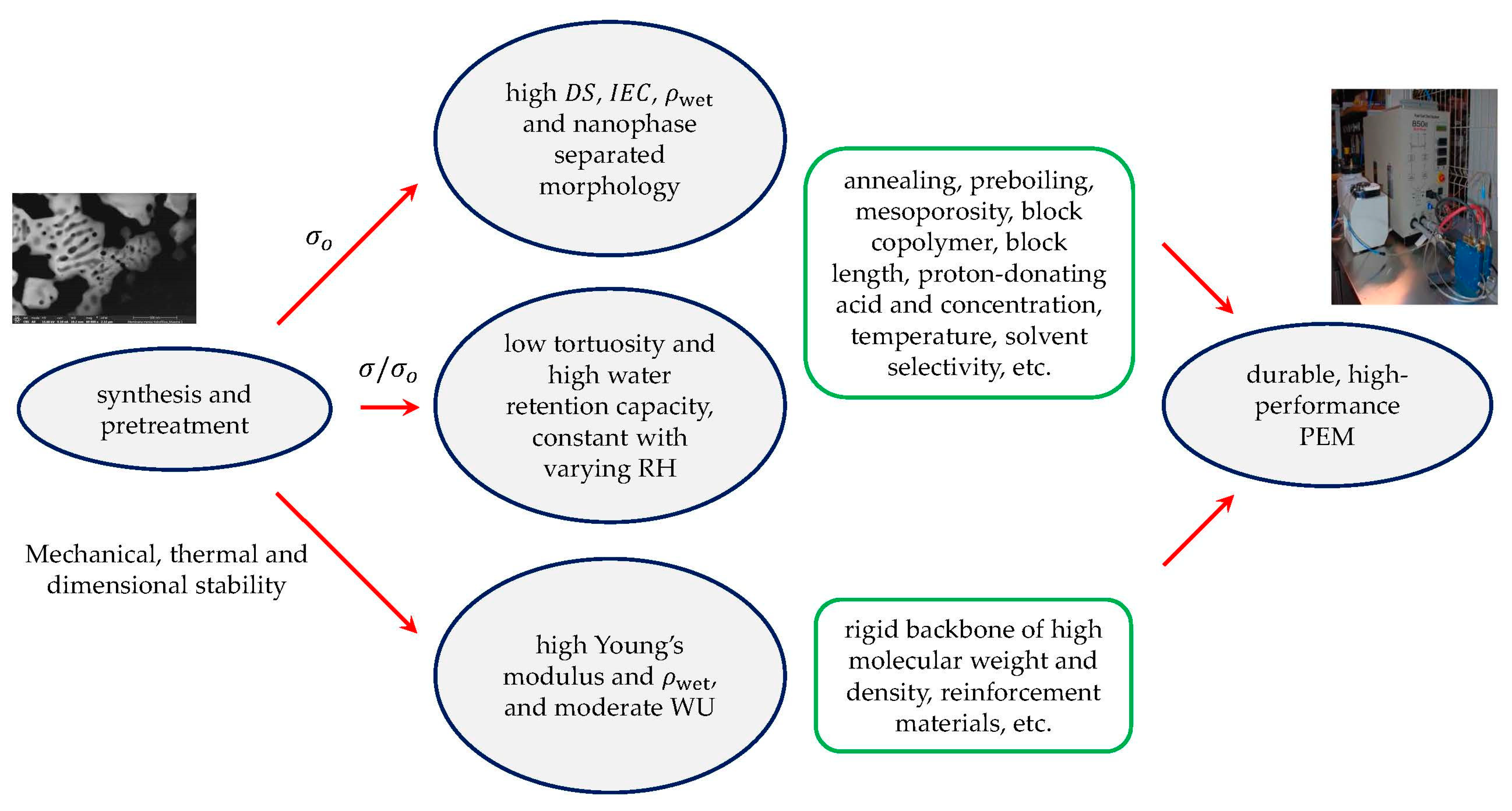 Polymers 13 00363 g010 Polymers 13 00363 g010
