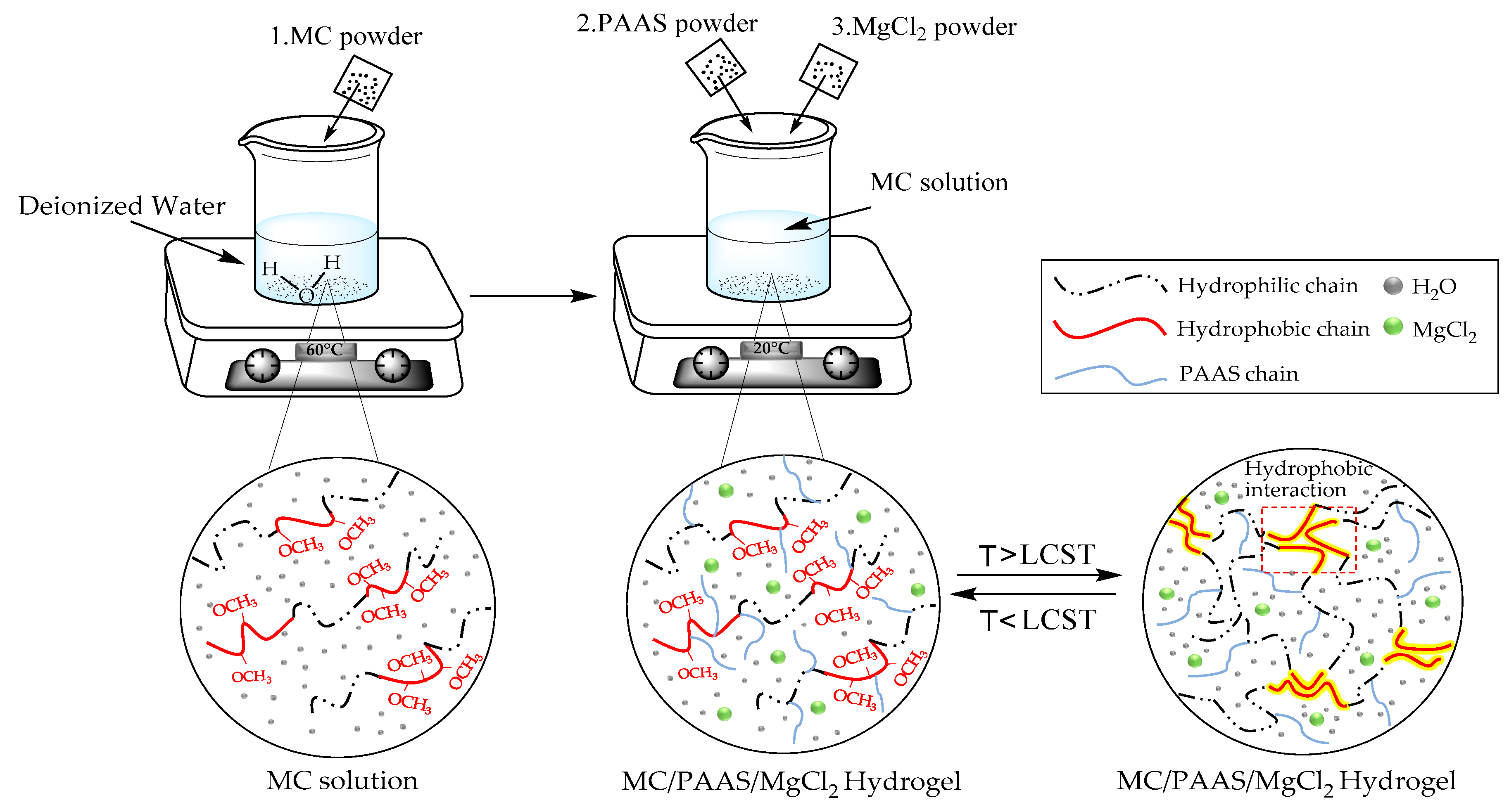 Polymers 13 00367 g001